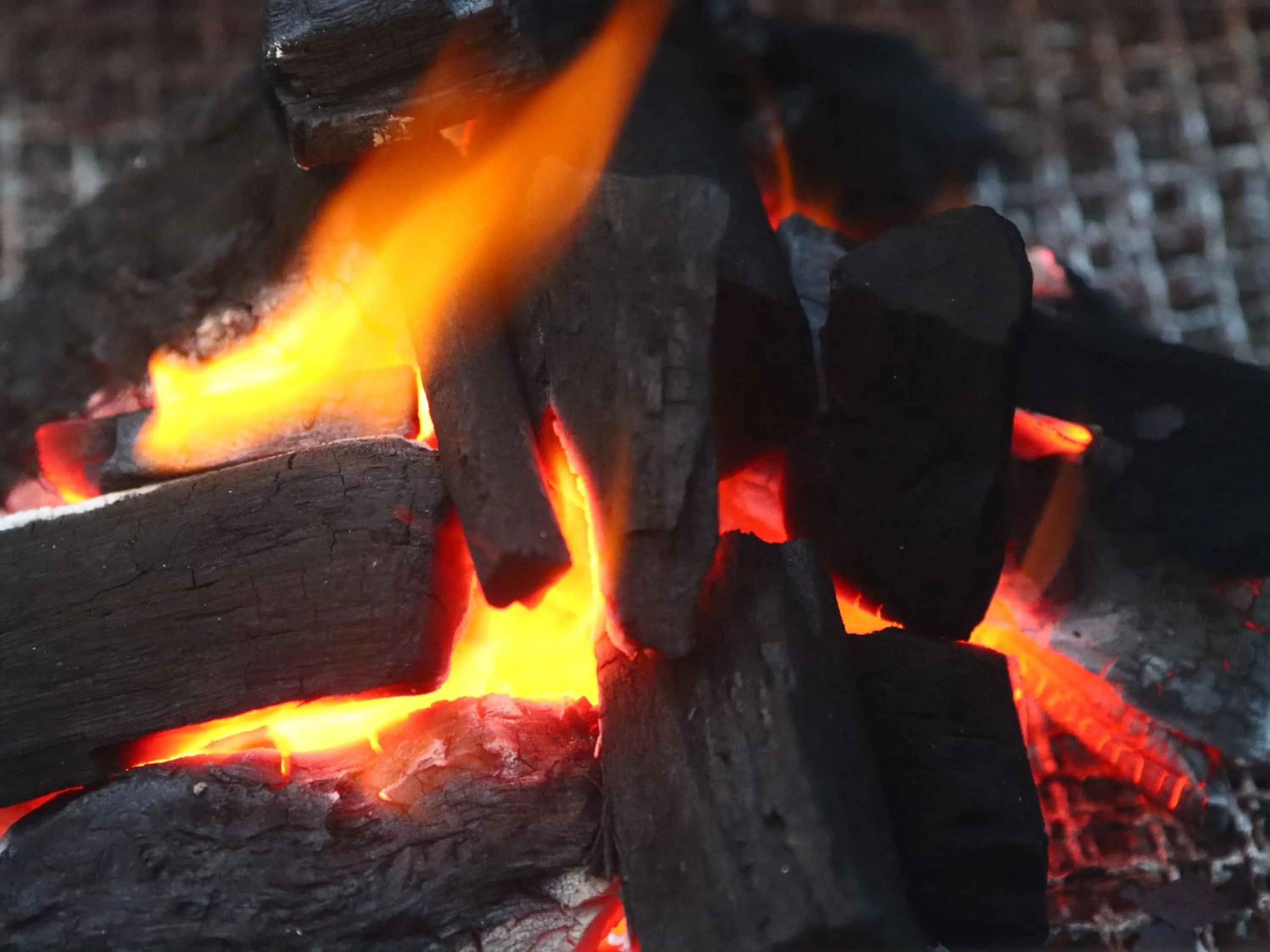 Dinner in Rantanrirun ランタンリルン