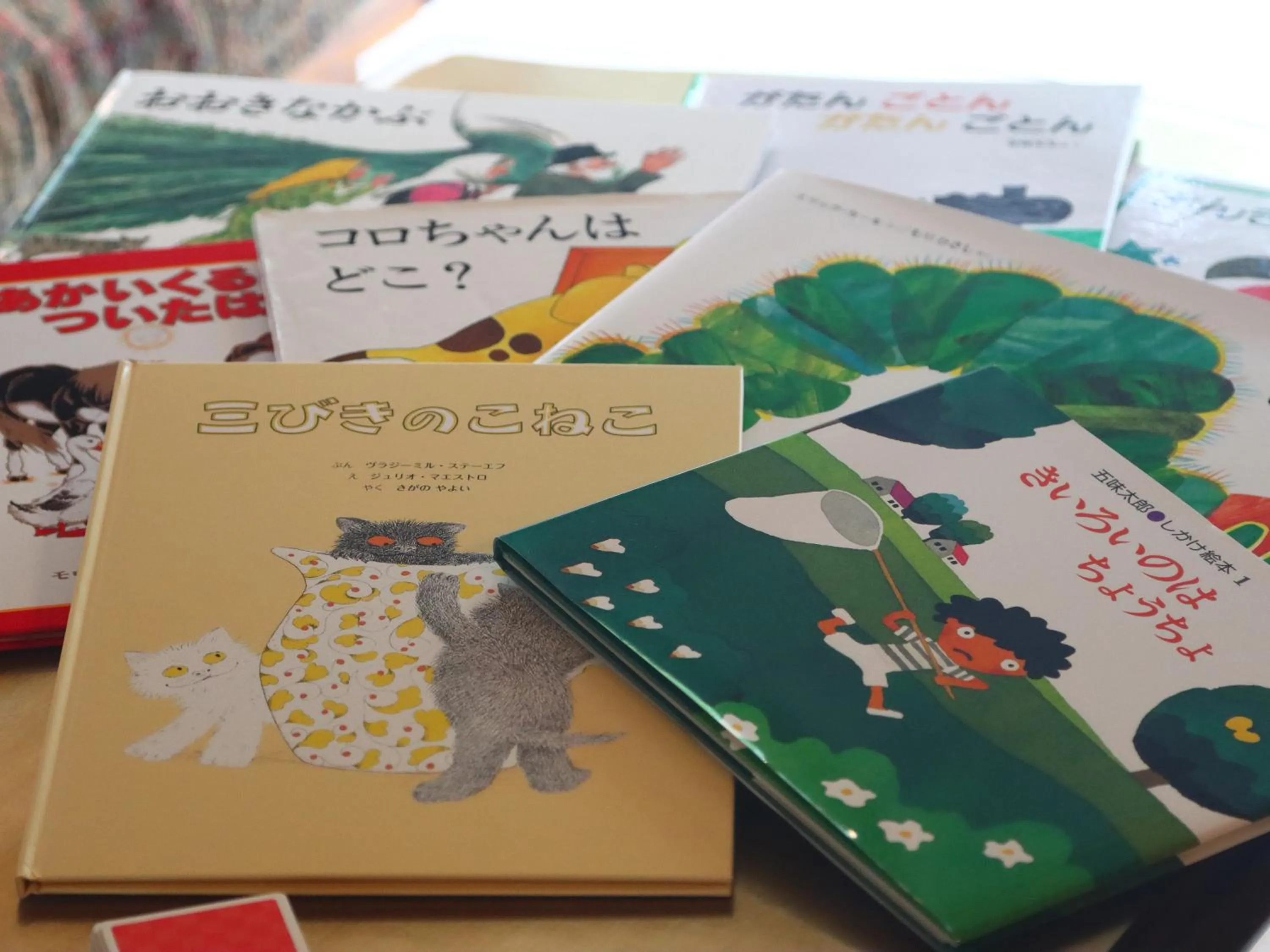 Area and facilities in Rantanrirun ランタンリルン