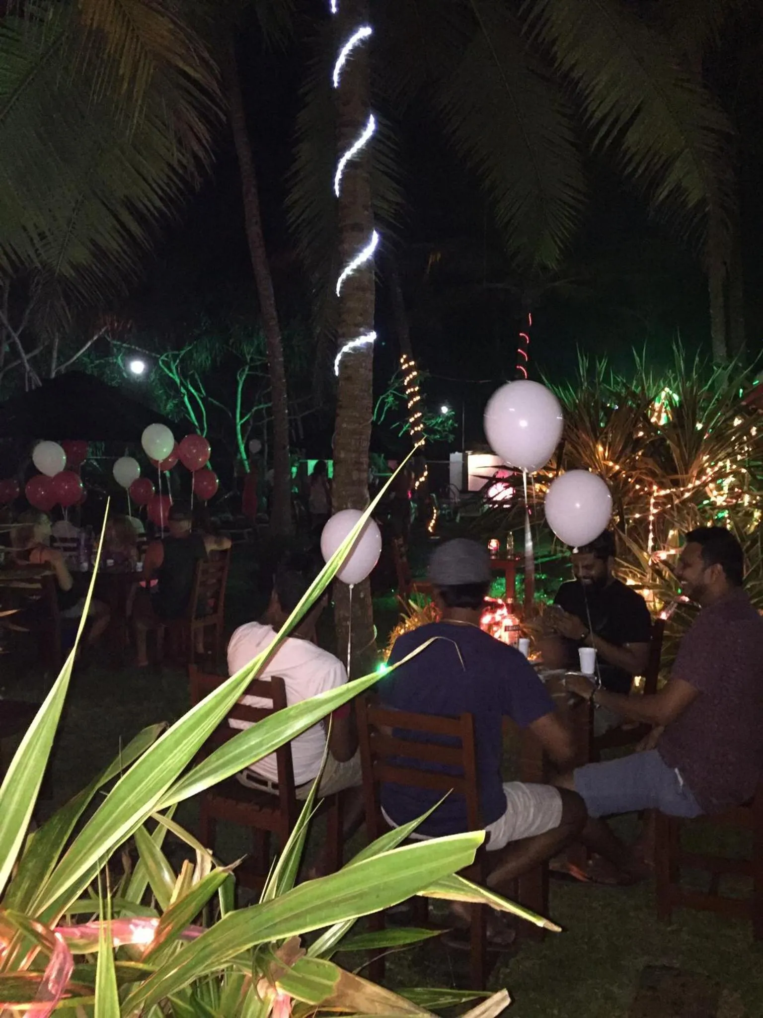 Nightclub / DJ in Villa Tissa Beach Resort