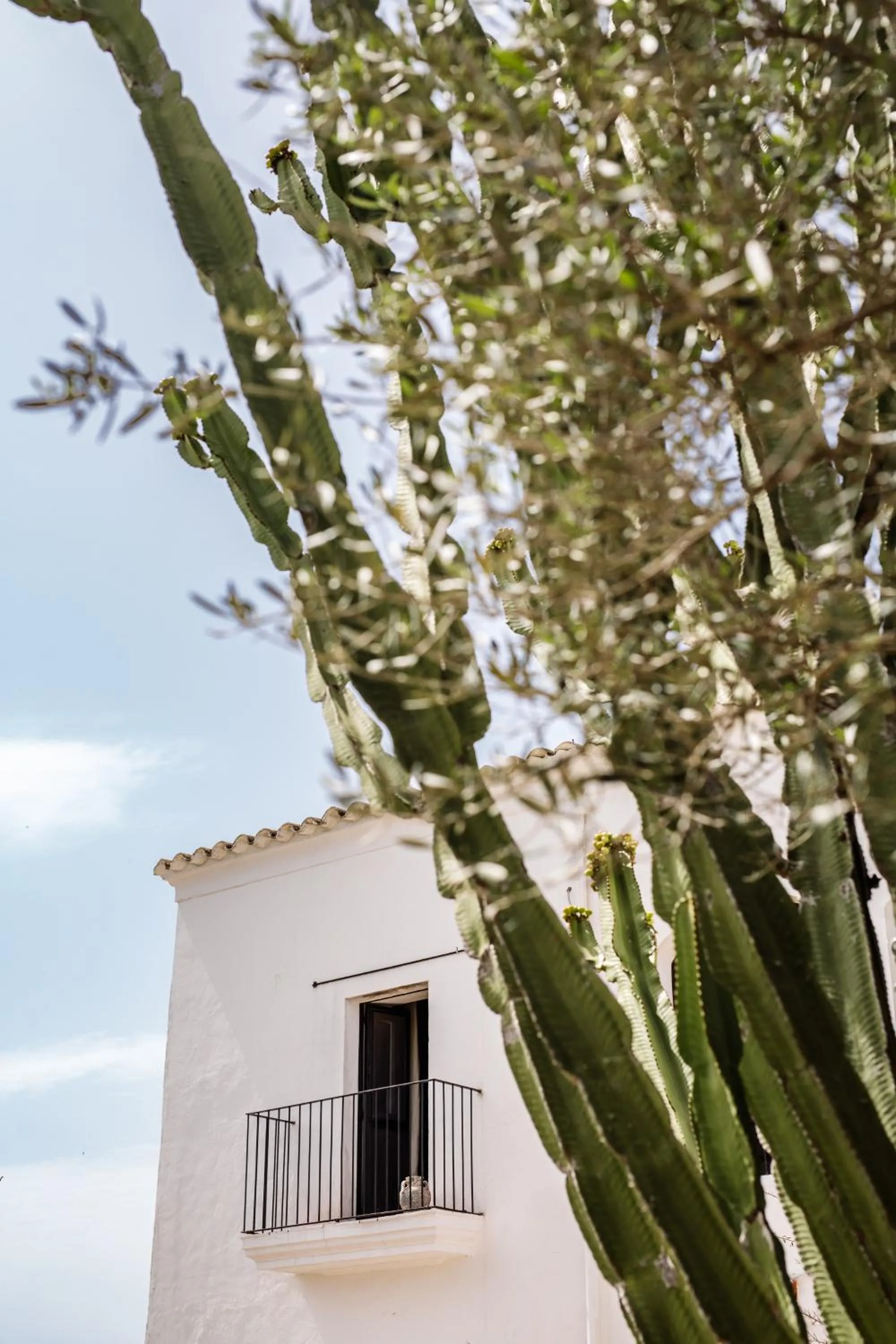 Finca Legado Ibiza