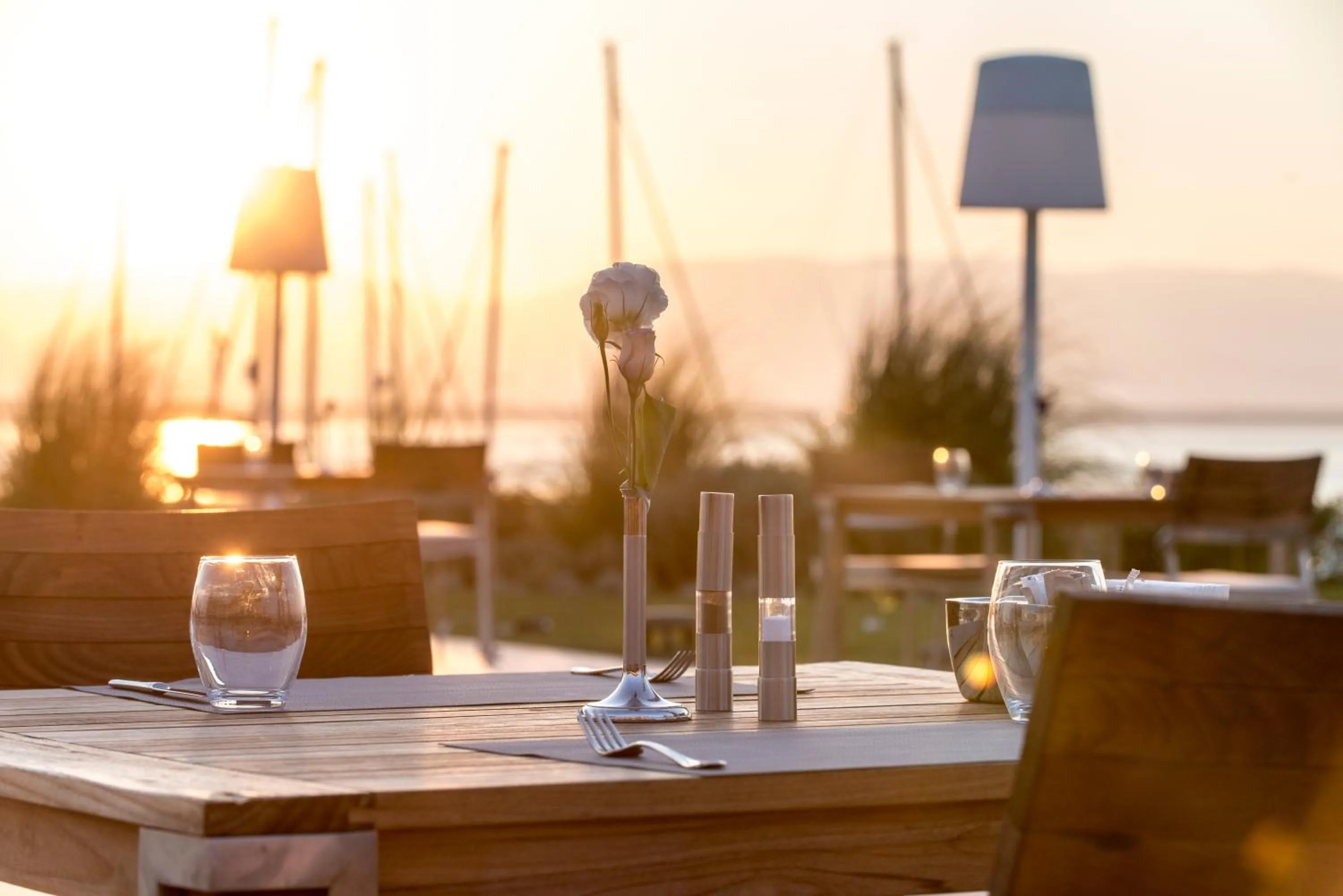 Garden in Yacht Club