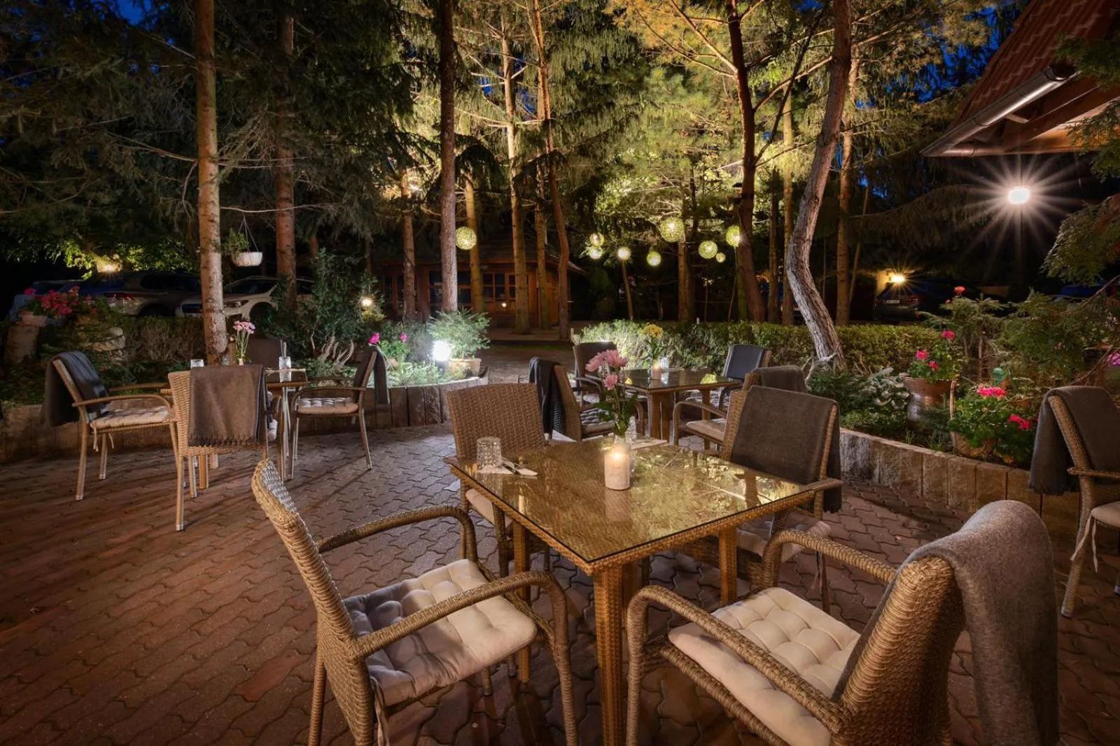 Patio in Hotel Frýdl