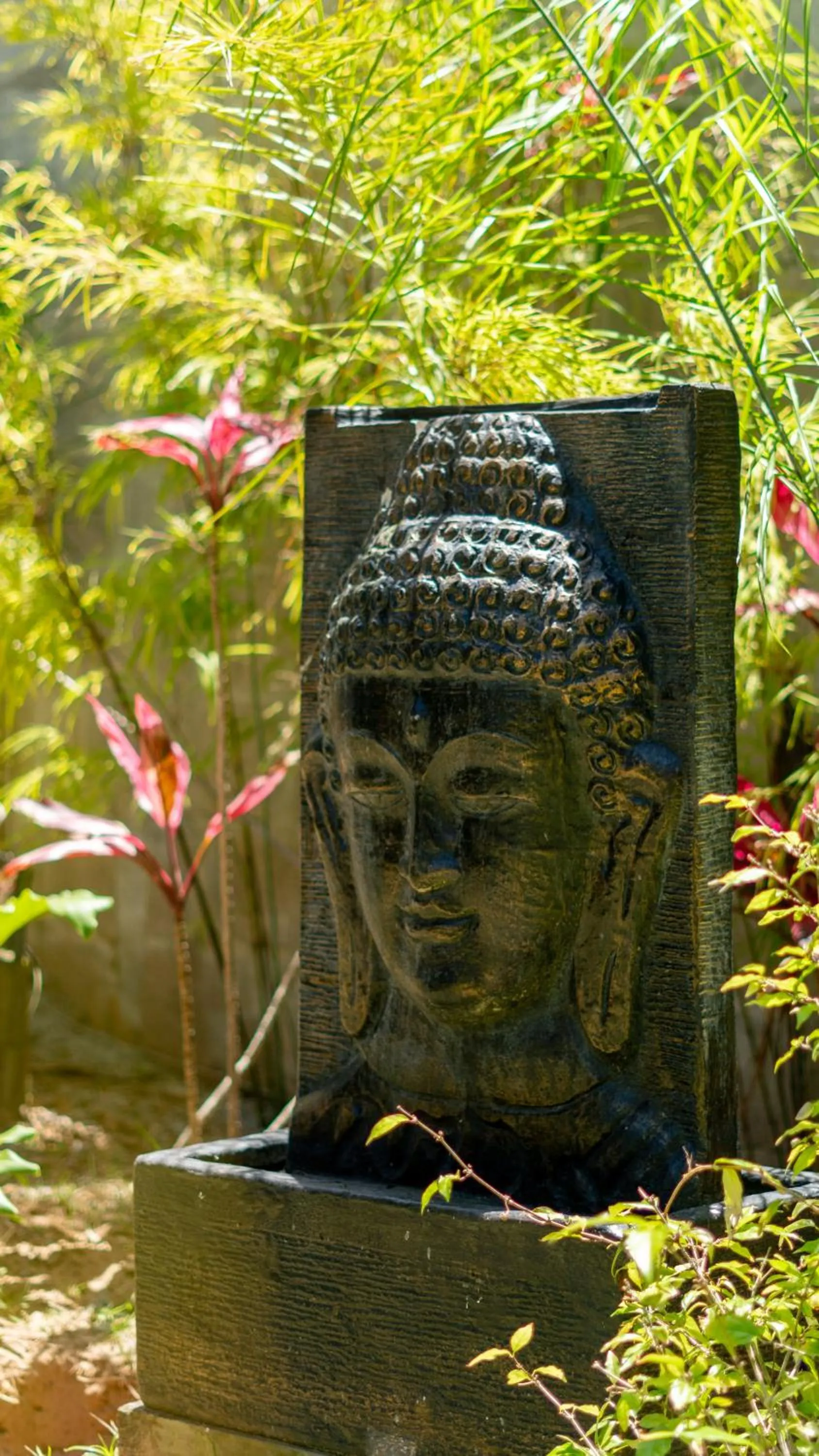 Pousada Rosa Tropicalia