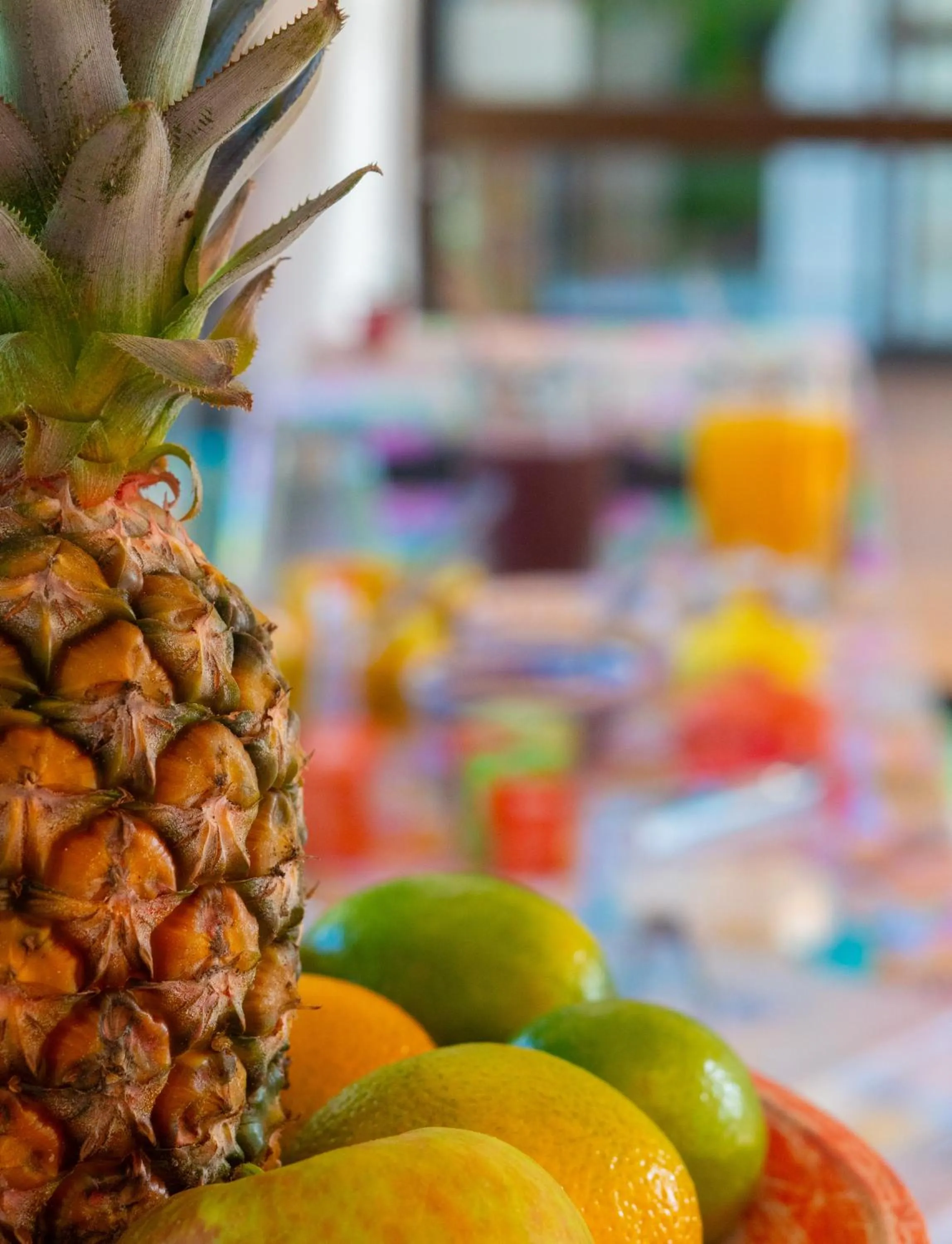 Pousada Rosa Tropicalia