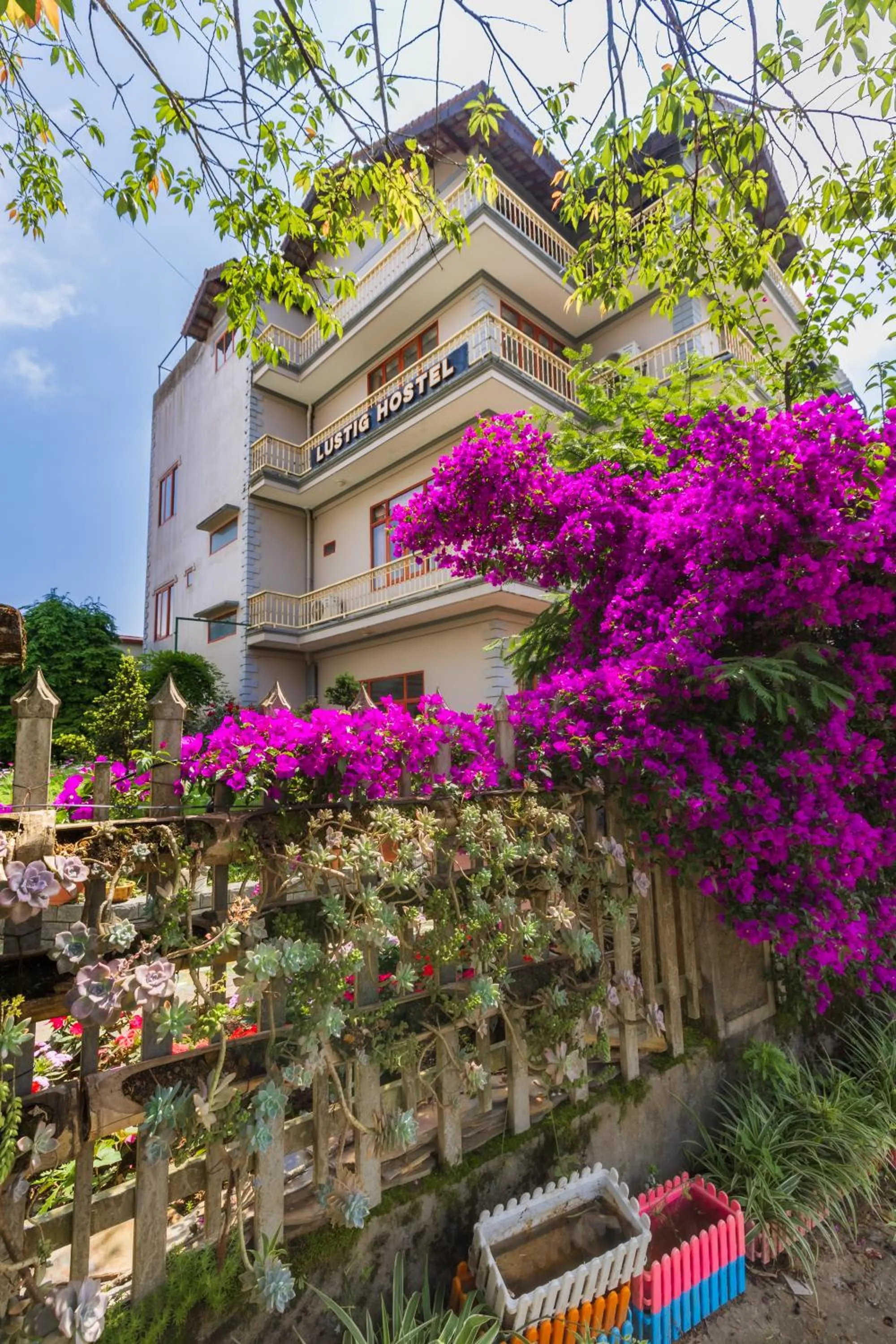 Property building in Lustig Hostel