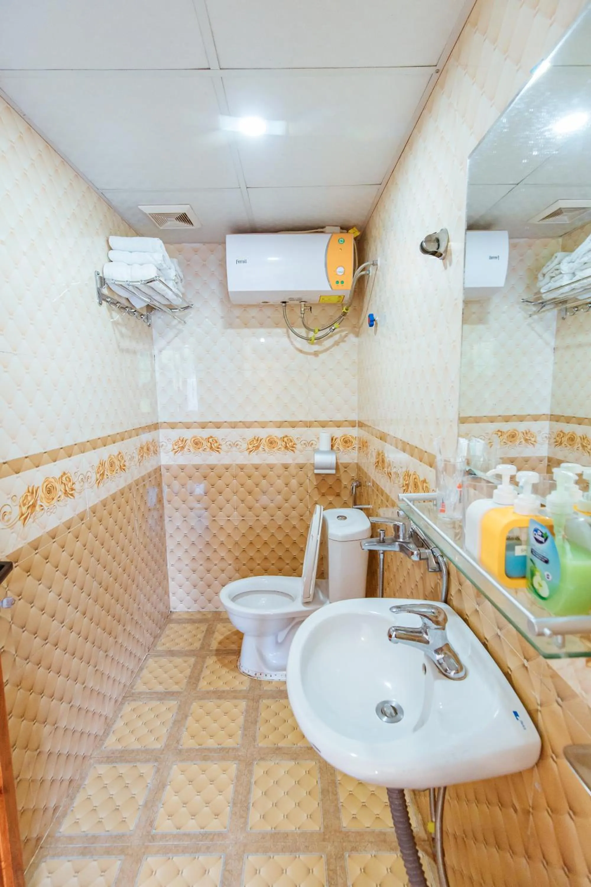 Toilet in Lustig Hostel