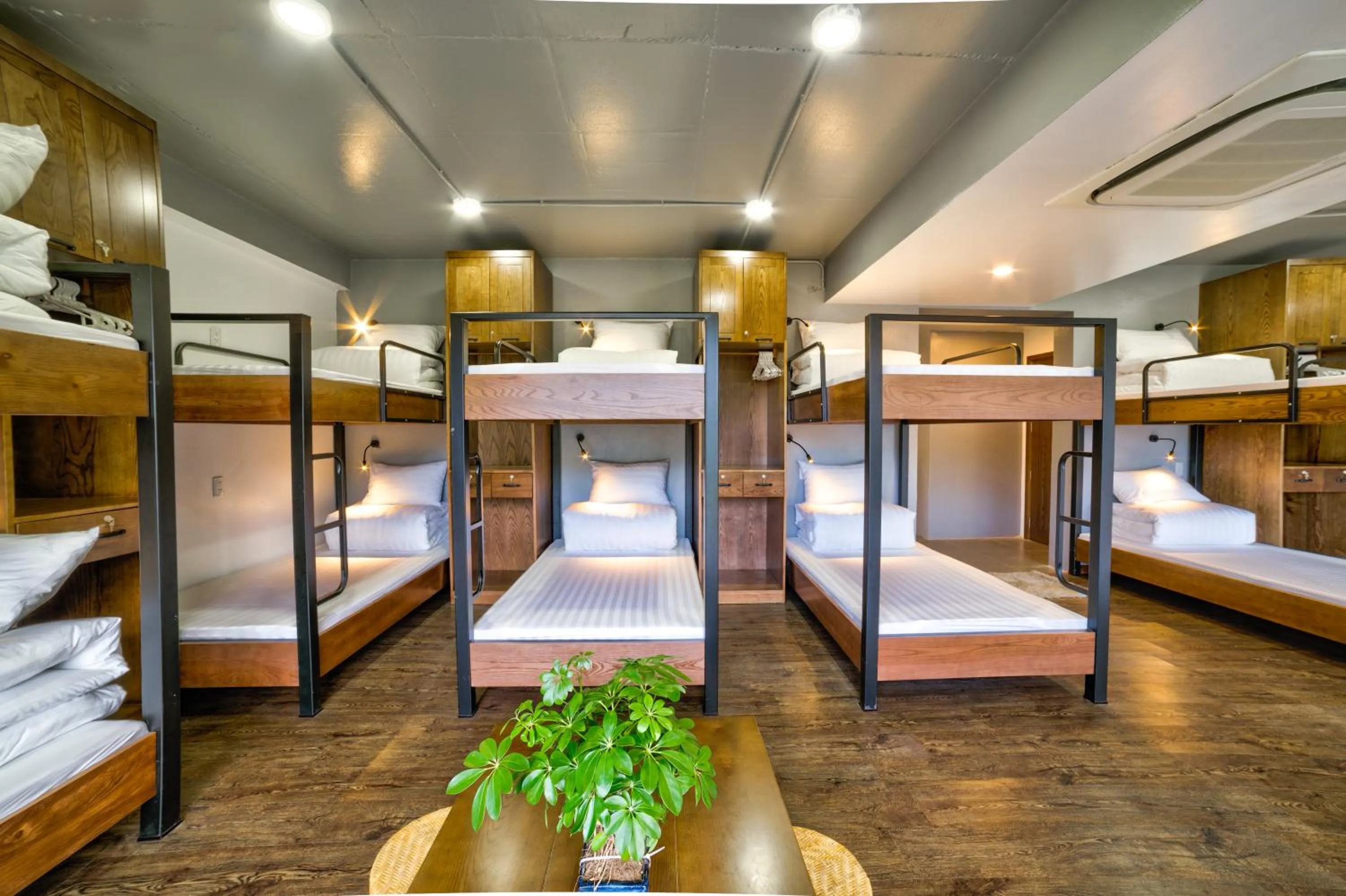 Seating area in Lustig Hostel