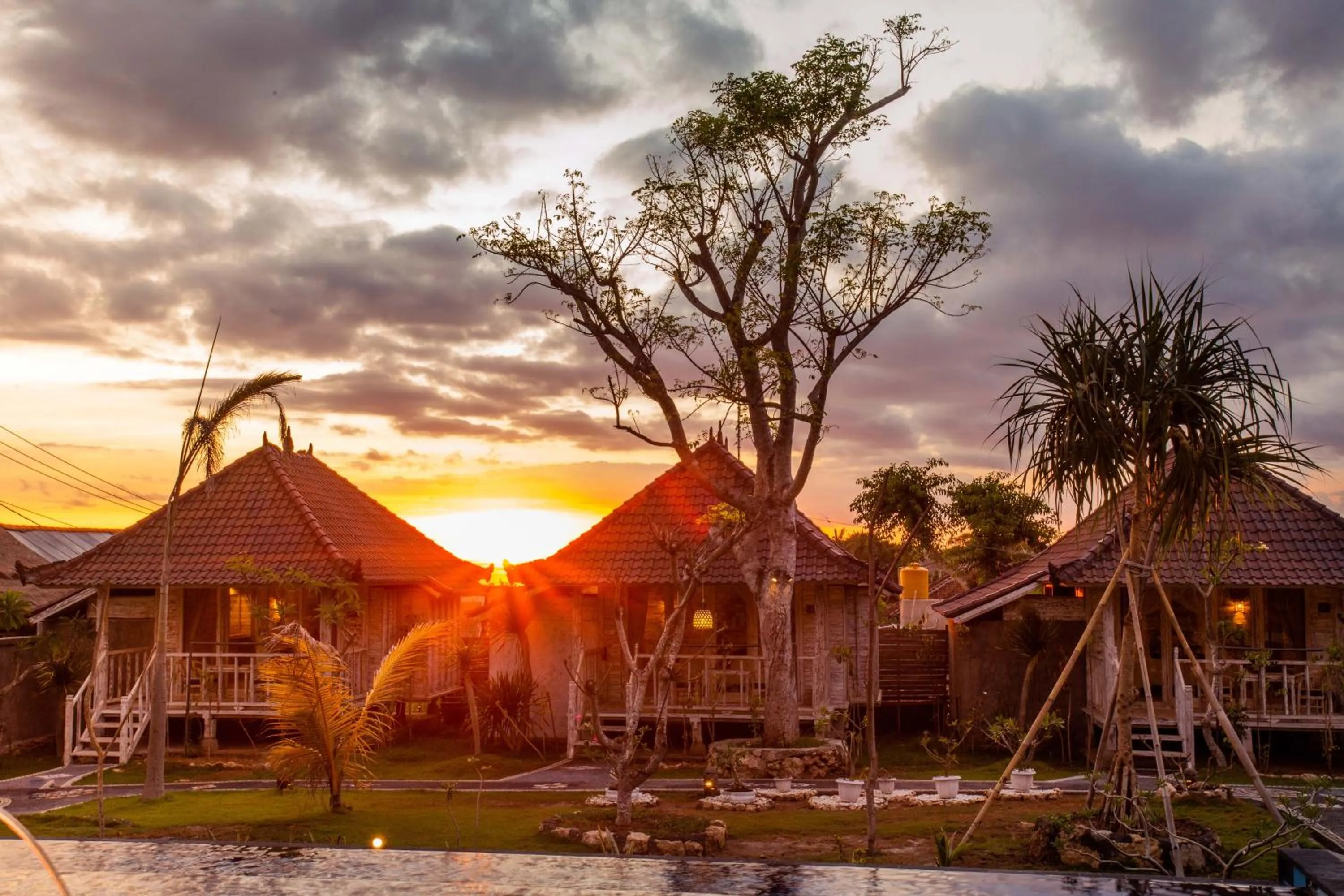 Garden in D'Coin Lembongan