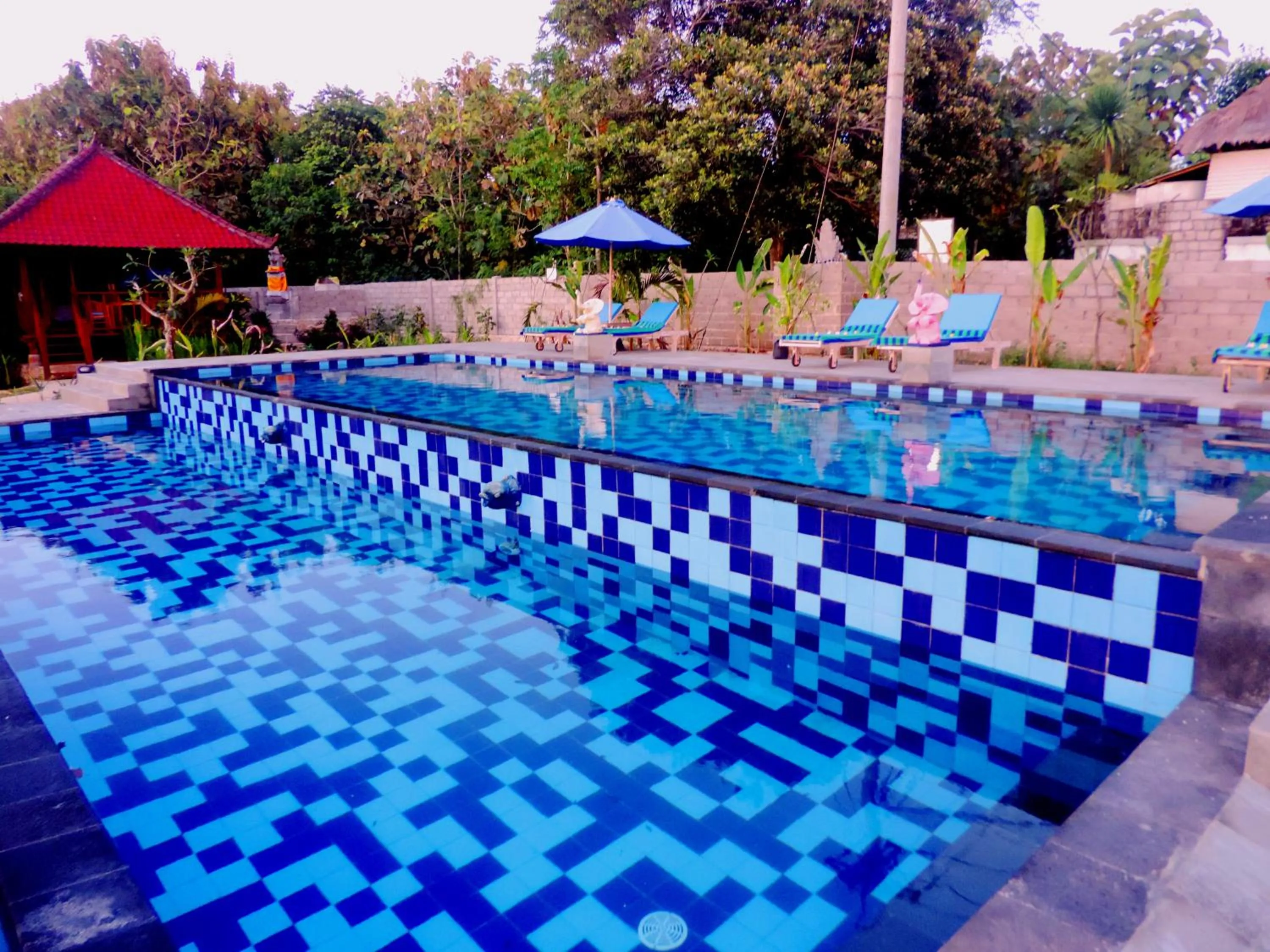 Swimming pool in D'Coin Lembongan