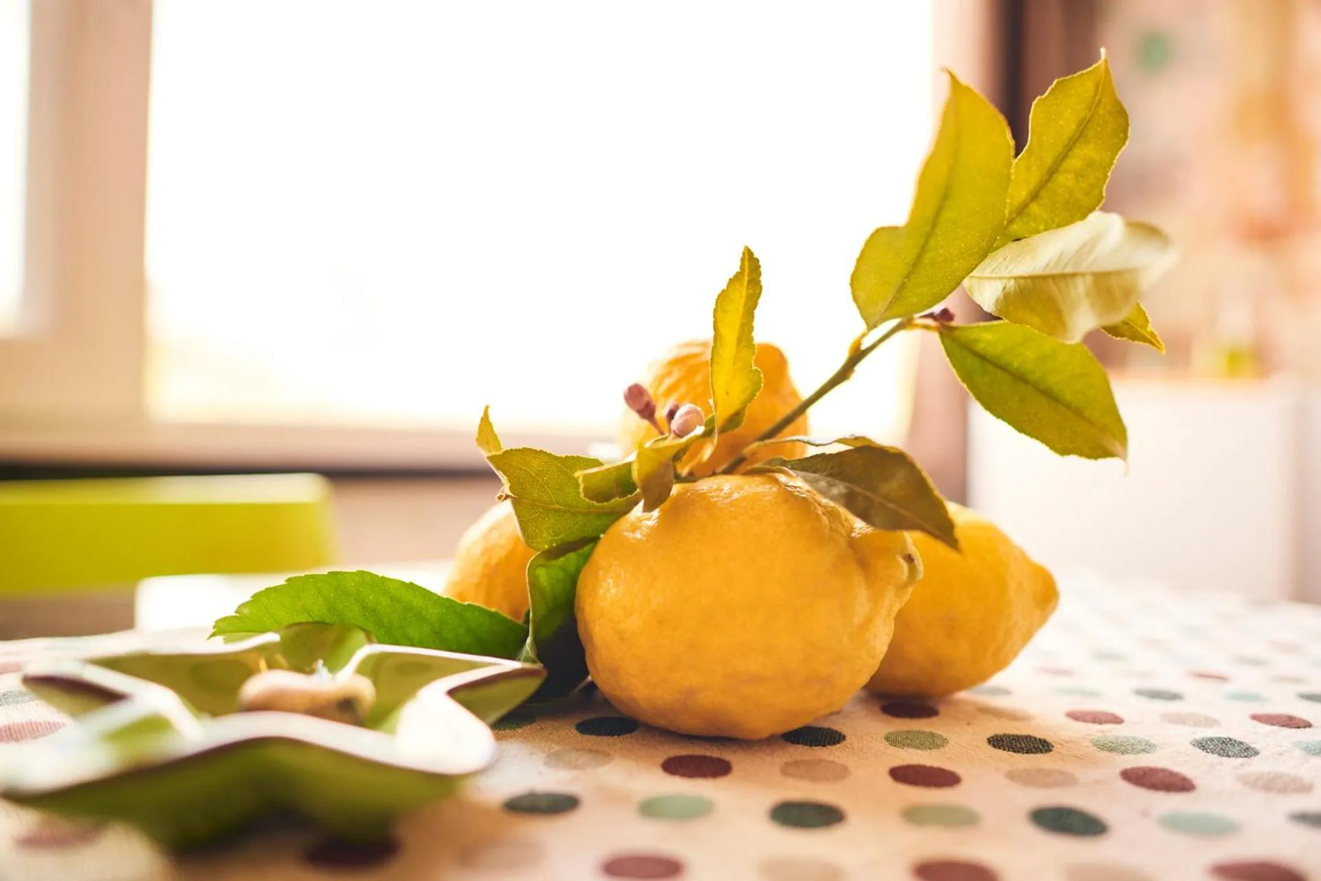 Decorative detail in il Magàn - Cinque Terre