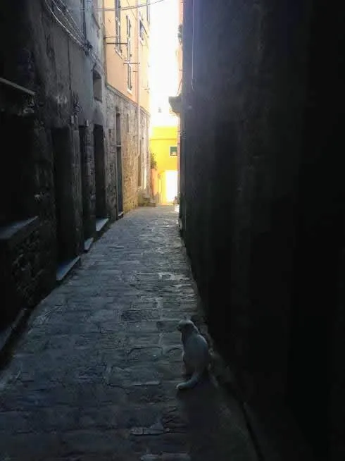 il Magàn - Cinque Terre