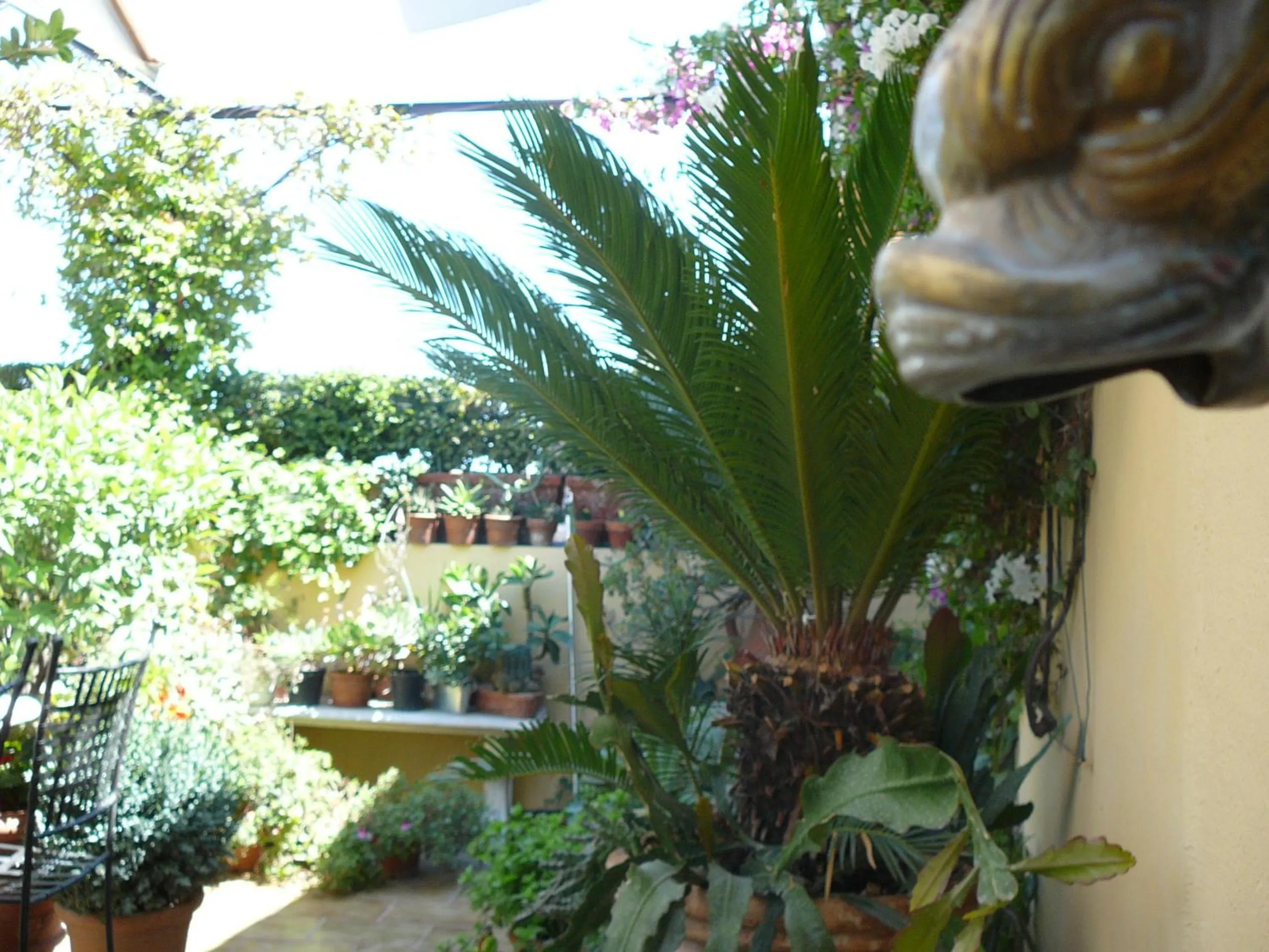 Facade/entrance in La Terrazza dei Pelargoni B&B