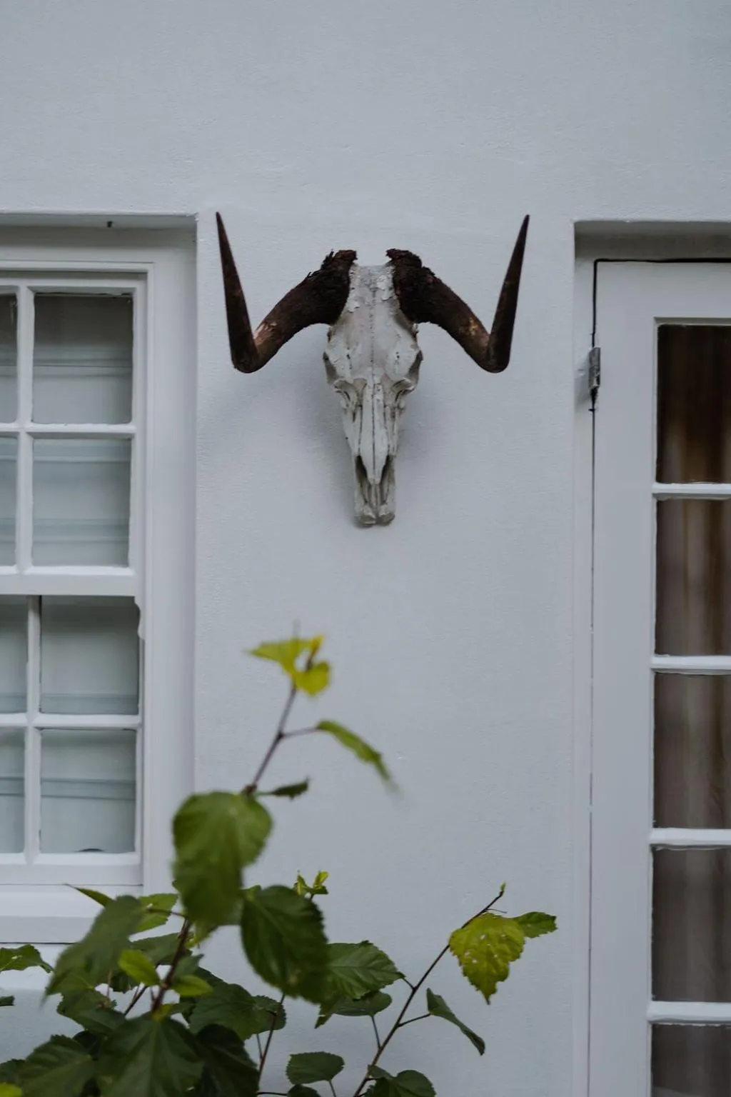 Radium Hall Guest House