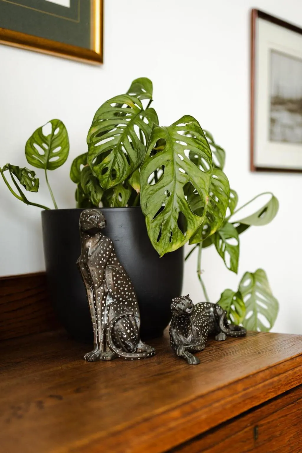 Radium Hall Guest House