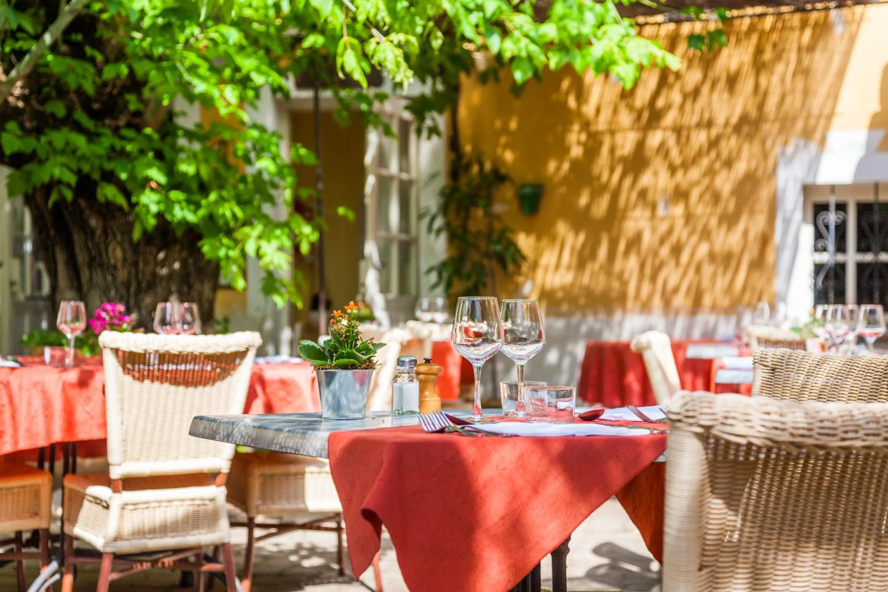 Restaurant/places to eat in Le Petit Manoir Hotel Provence