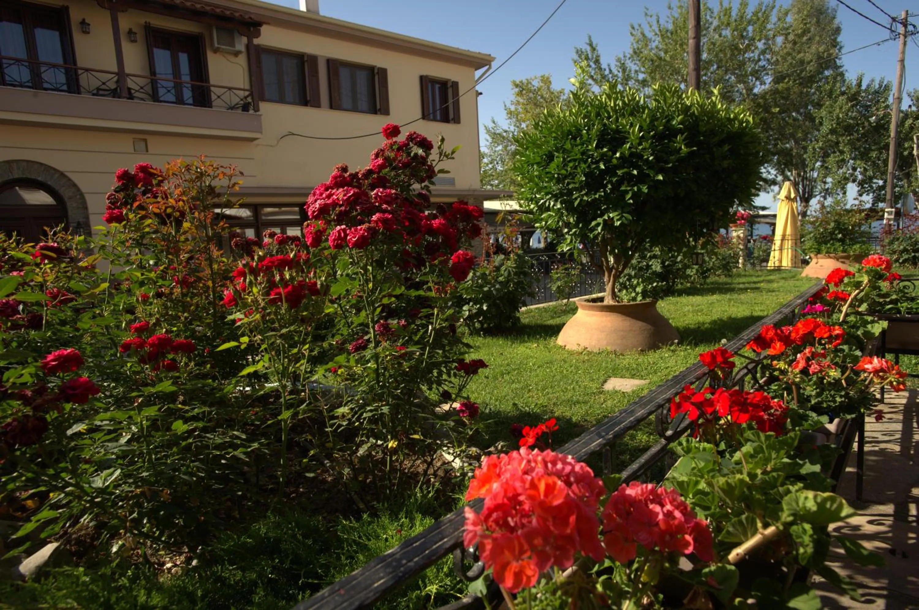 Garden in La Luna