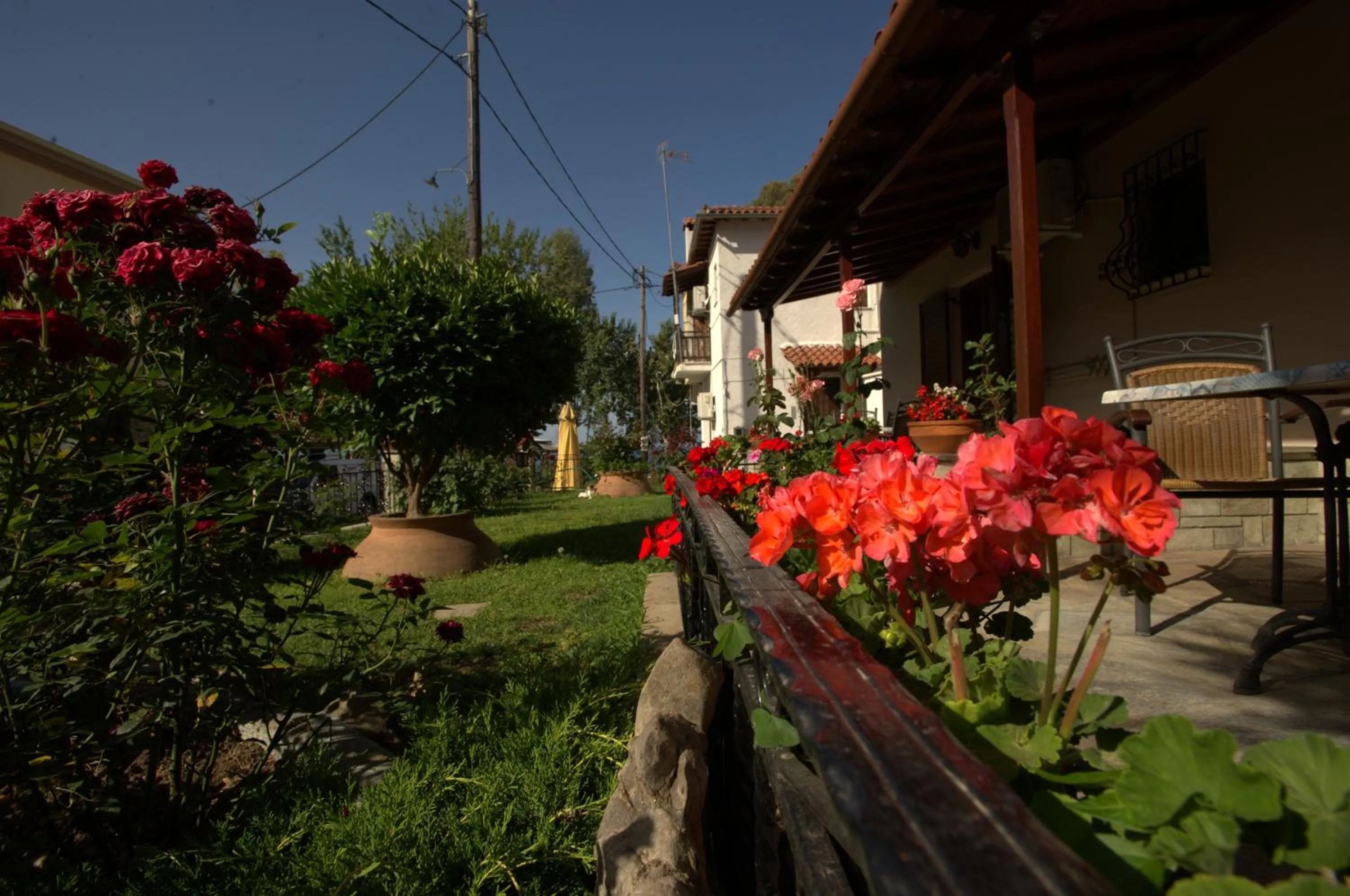 Garden in La Luna