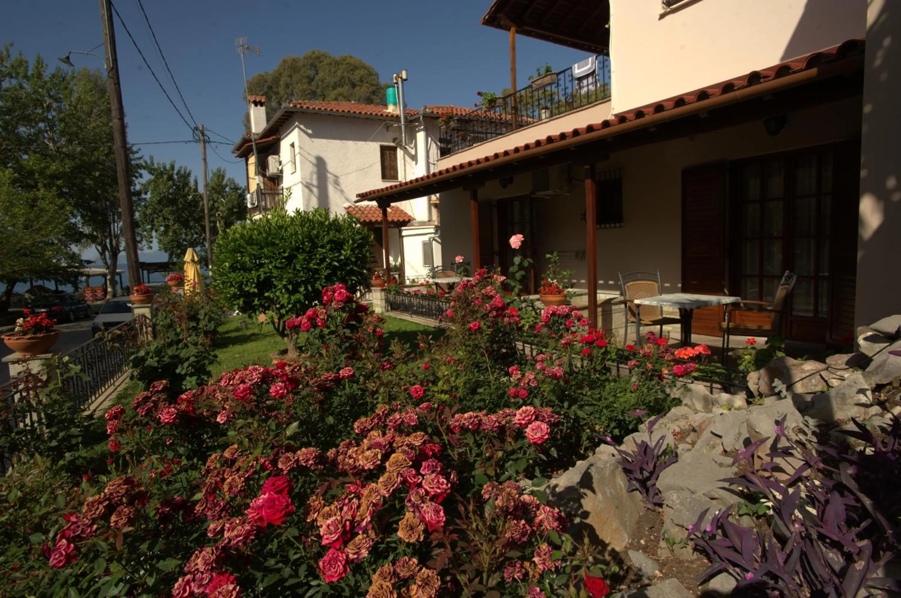 Garden in La Luna