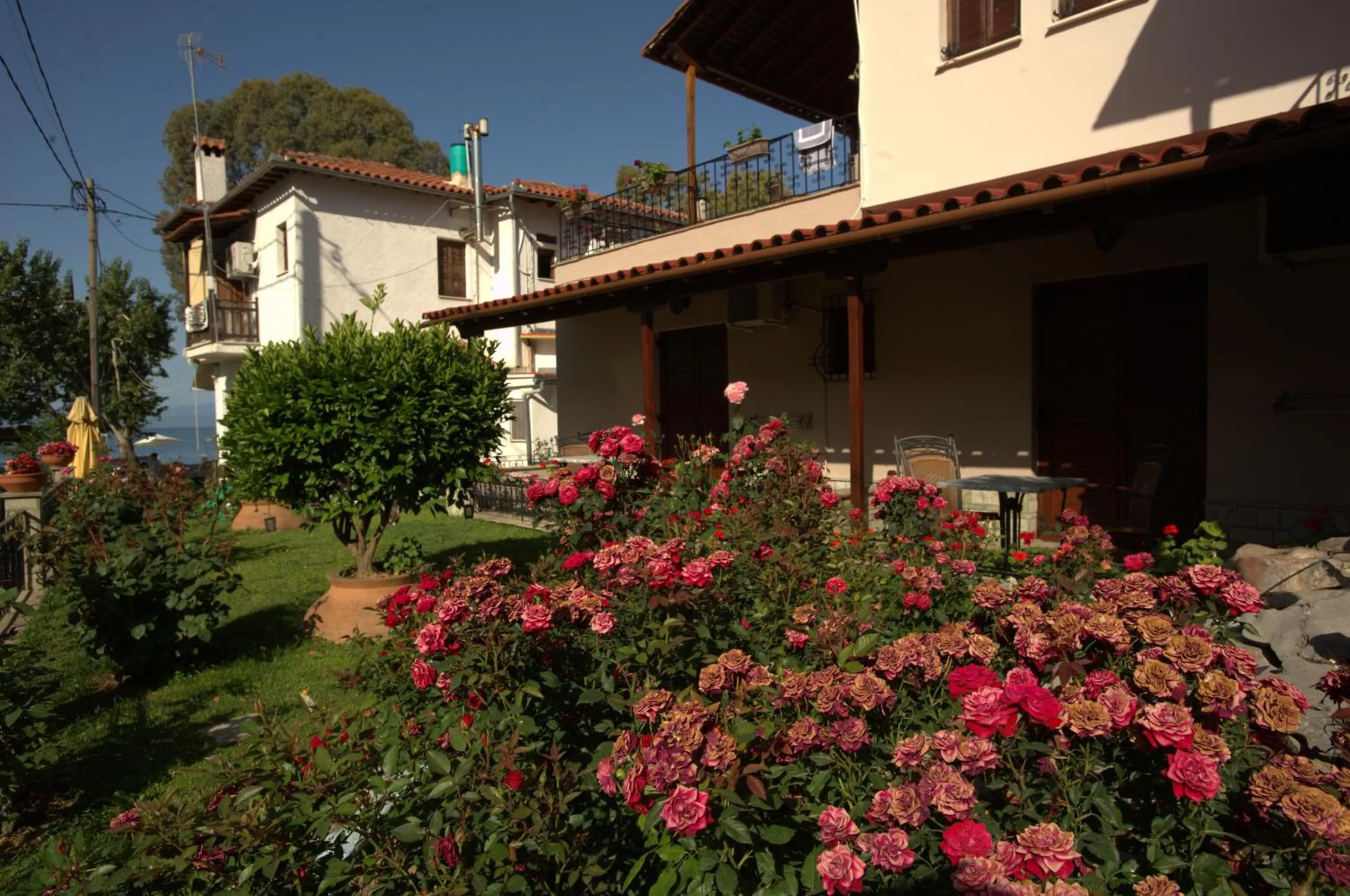 Garden in La Luna