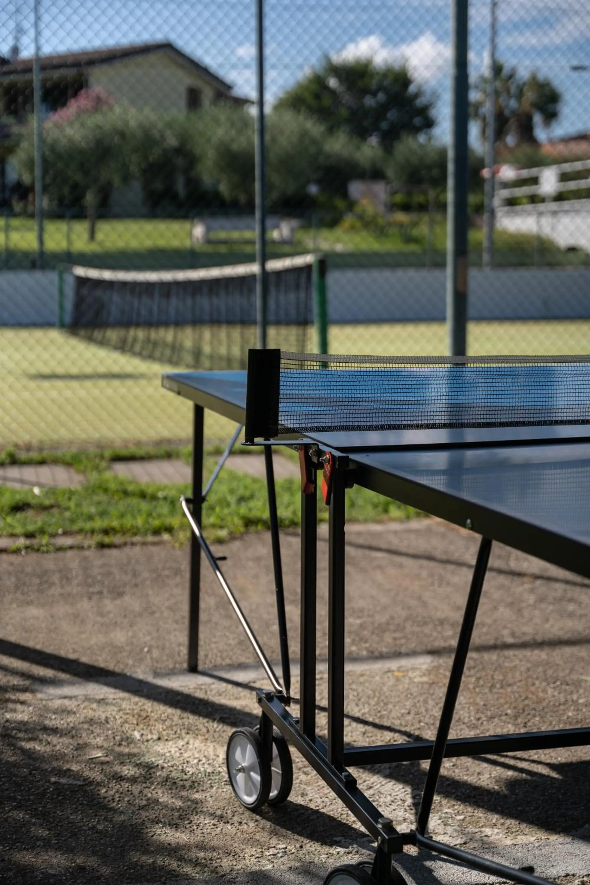 Table tennis in Residence Primera