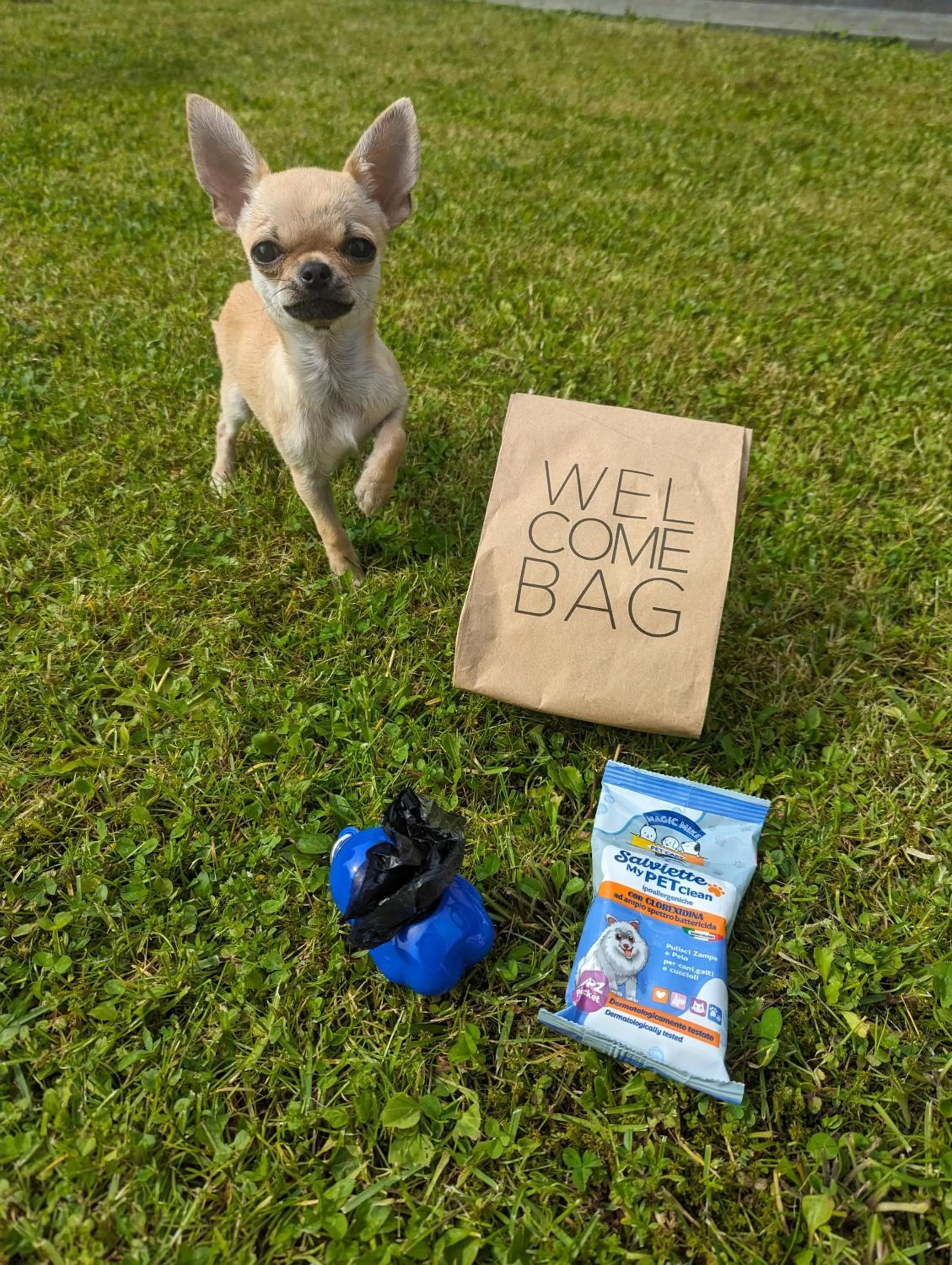 Pets in Residence Primera