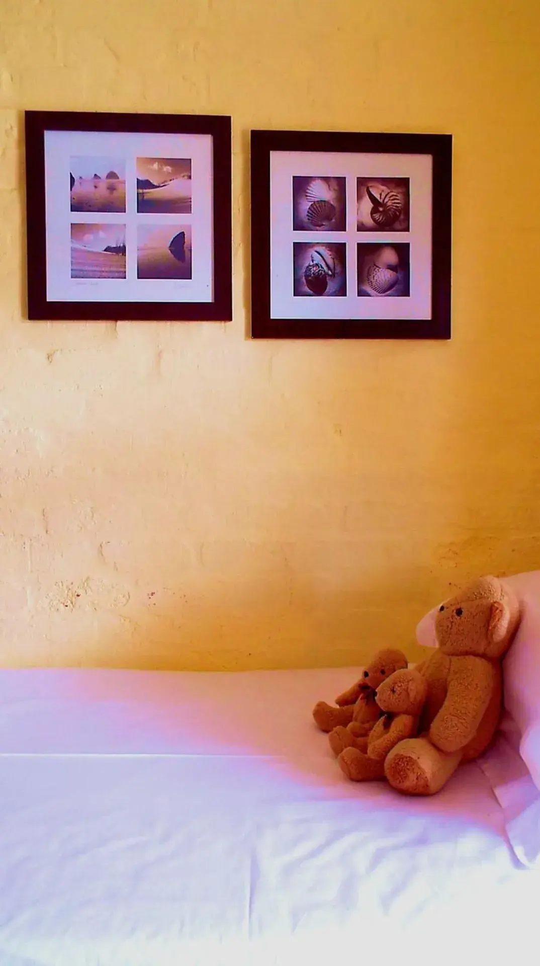 Family Room - single occupancy in Agulhas Country Lodge Family Room - single occupancy in Agulhas Country Lodge