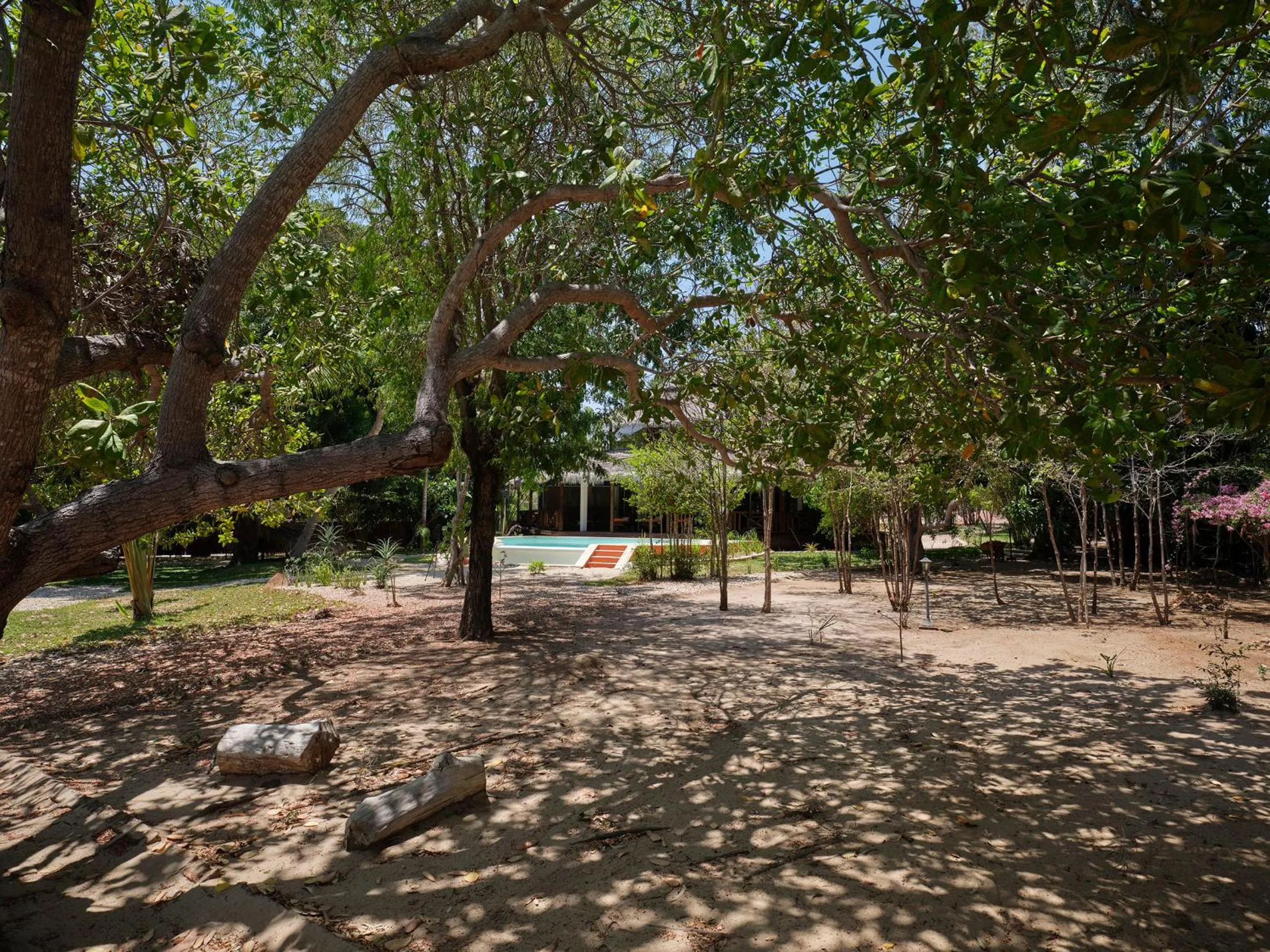 Garden in Antsanitia Resort
