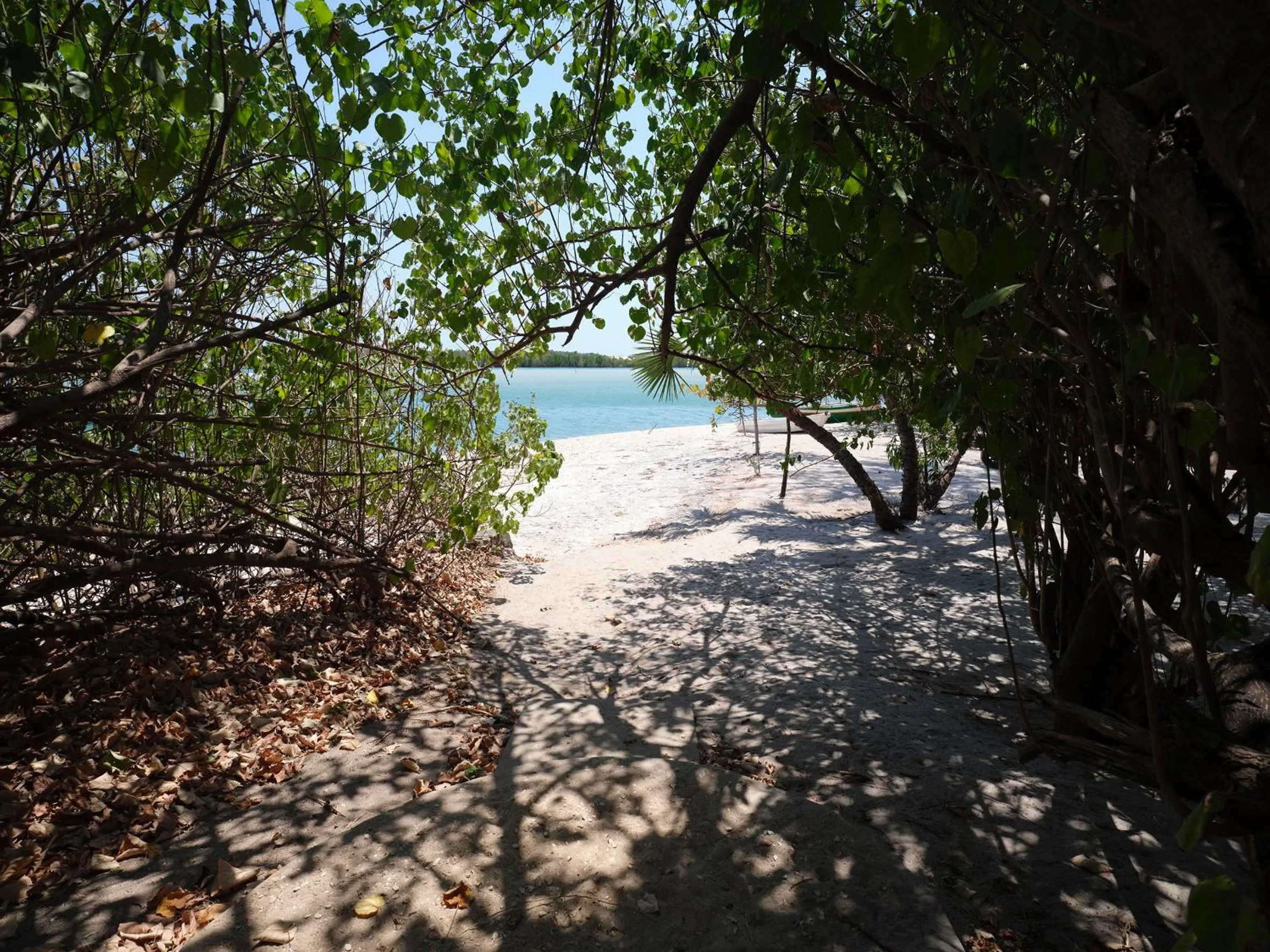 Natural landscape in Antsanitia Resort