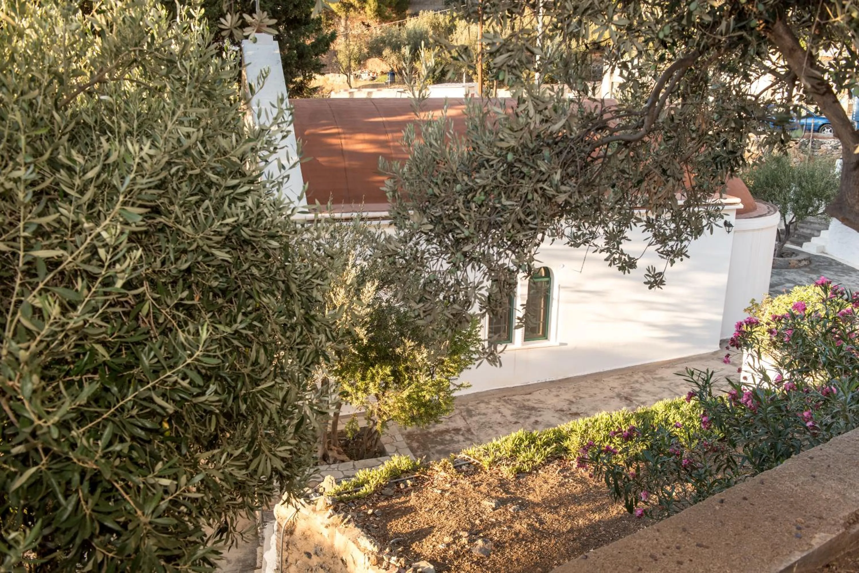 Garden view in Myrties Boutique Apartments