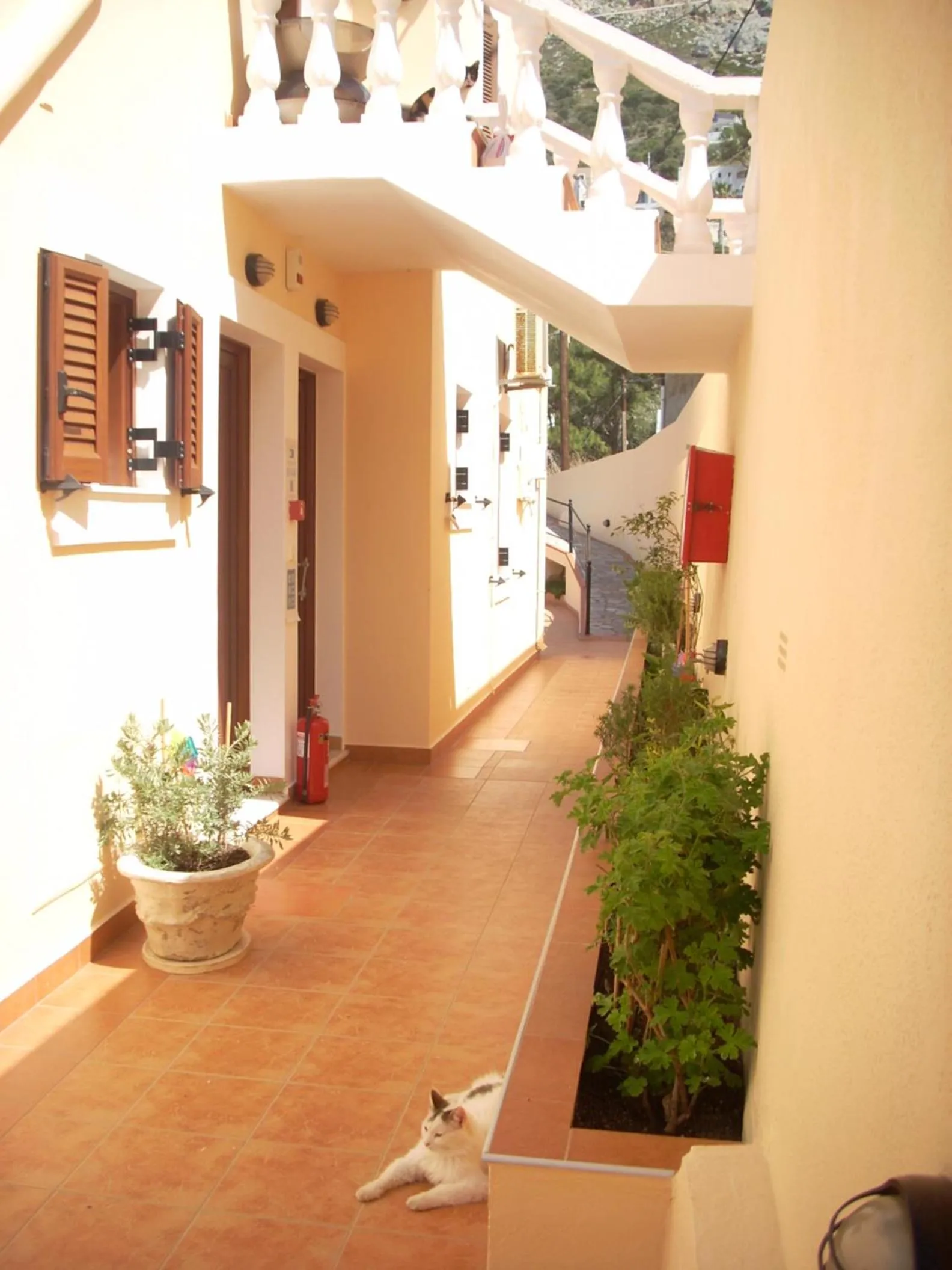 Property building in Myrties Boutique Apartments