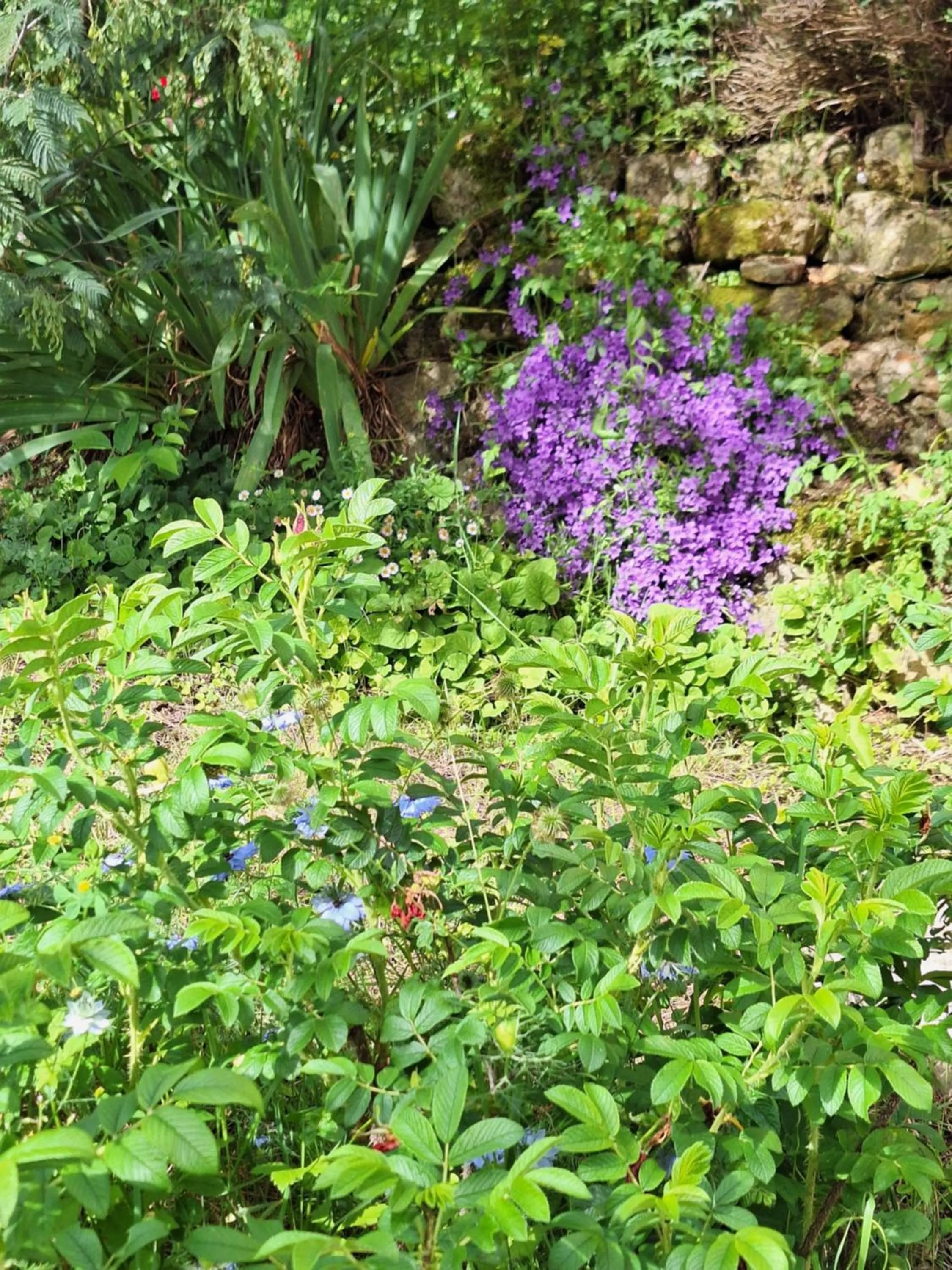 Chambre d'Hôtes Les Bruyères