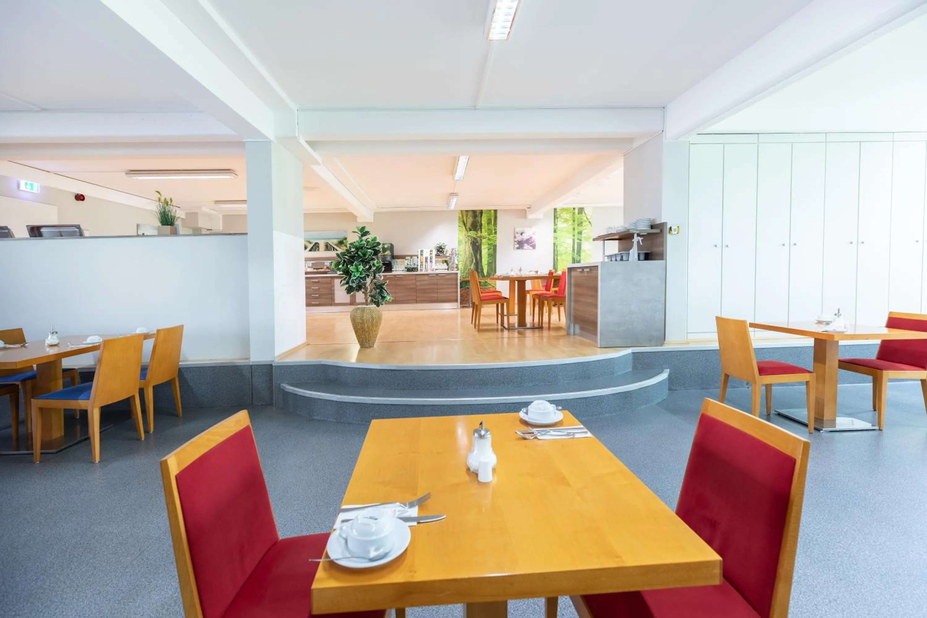 Restaurant/places to eat in Hotel Aviva