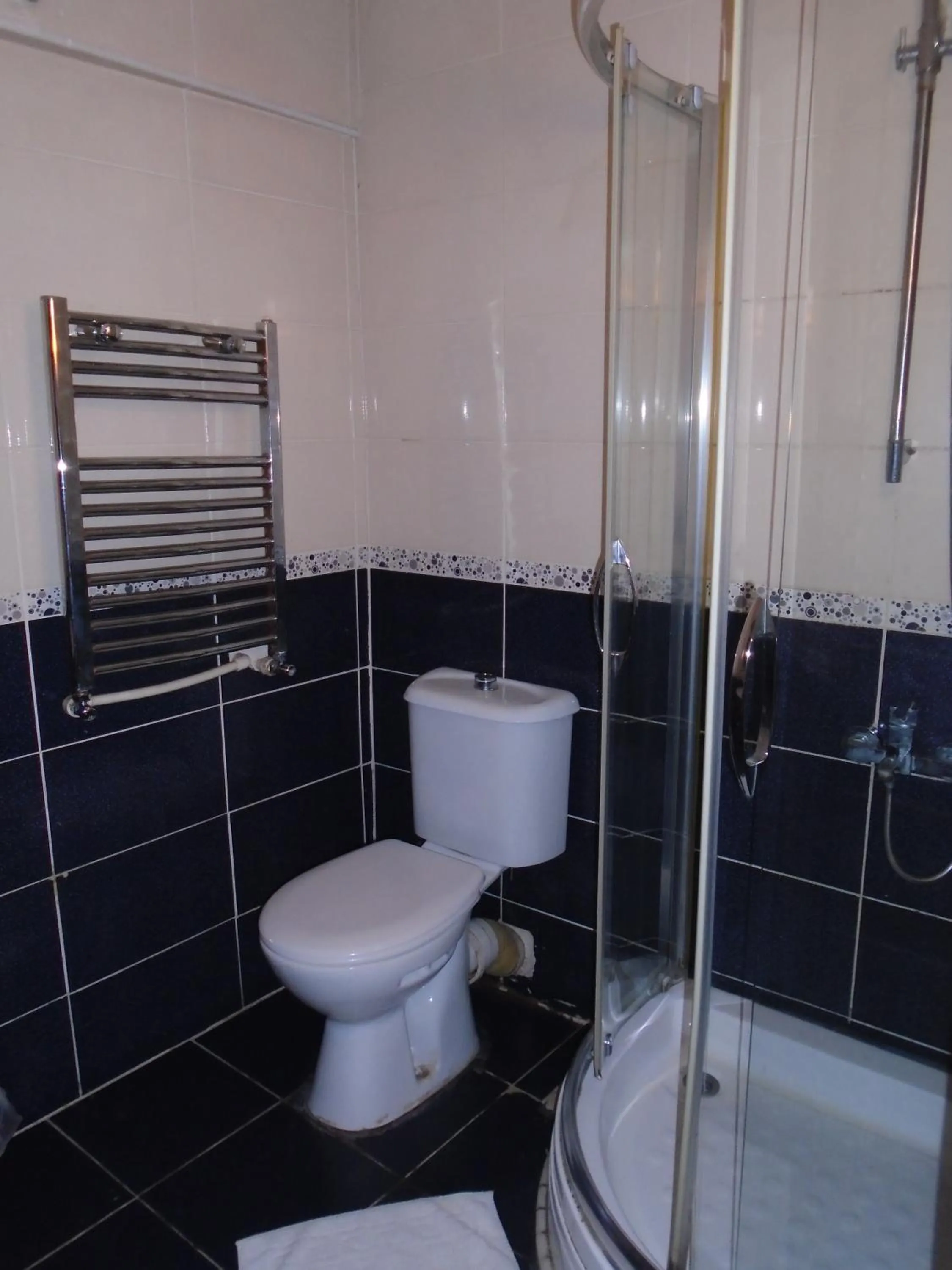 Toilet in City House