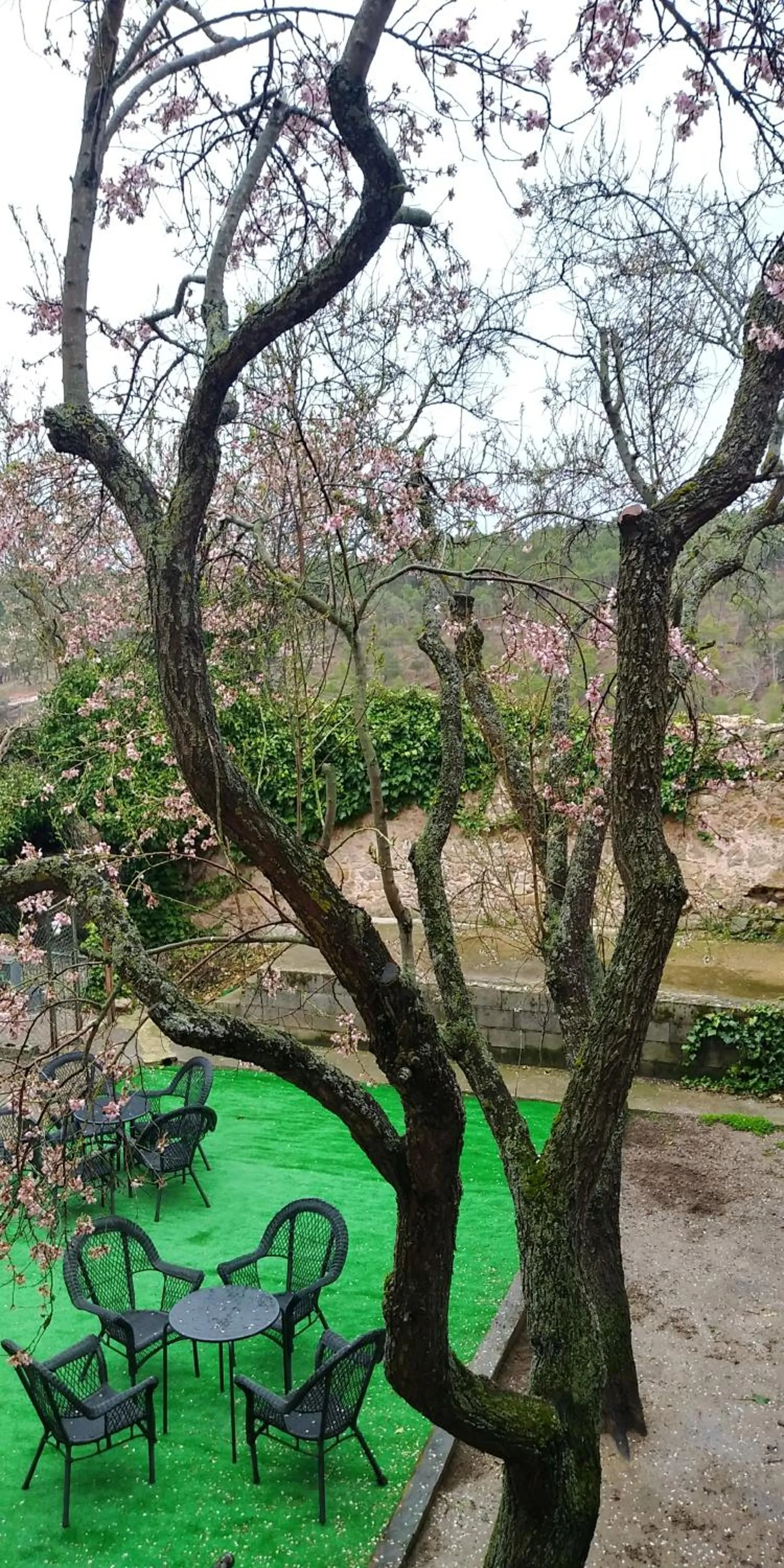 Garden in El Albergue de Sigüenza