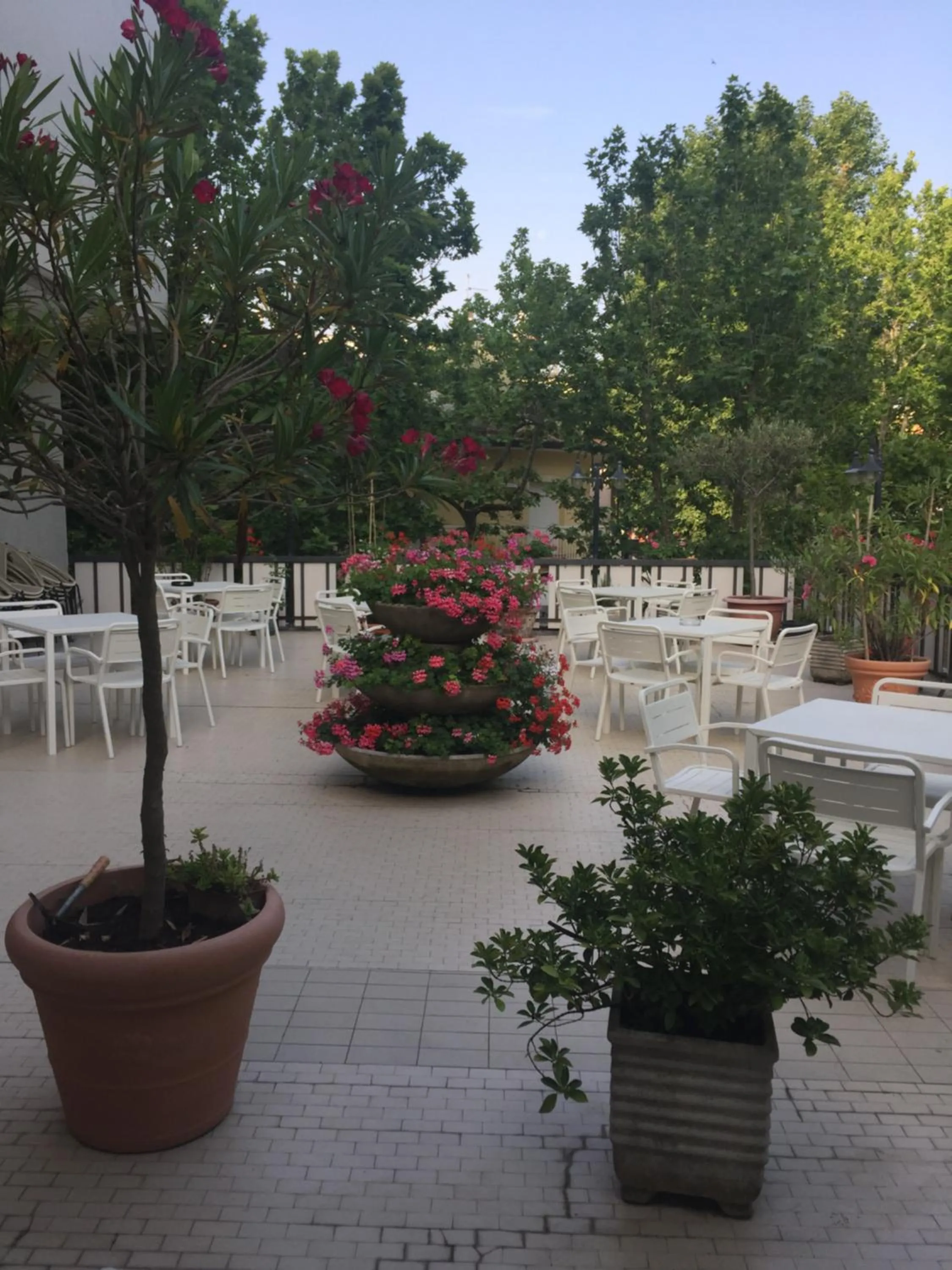Balcony/Terrace in Hotel Miramare Et De La Ville