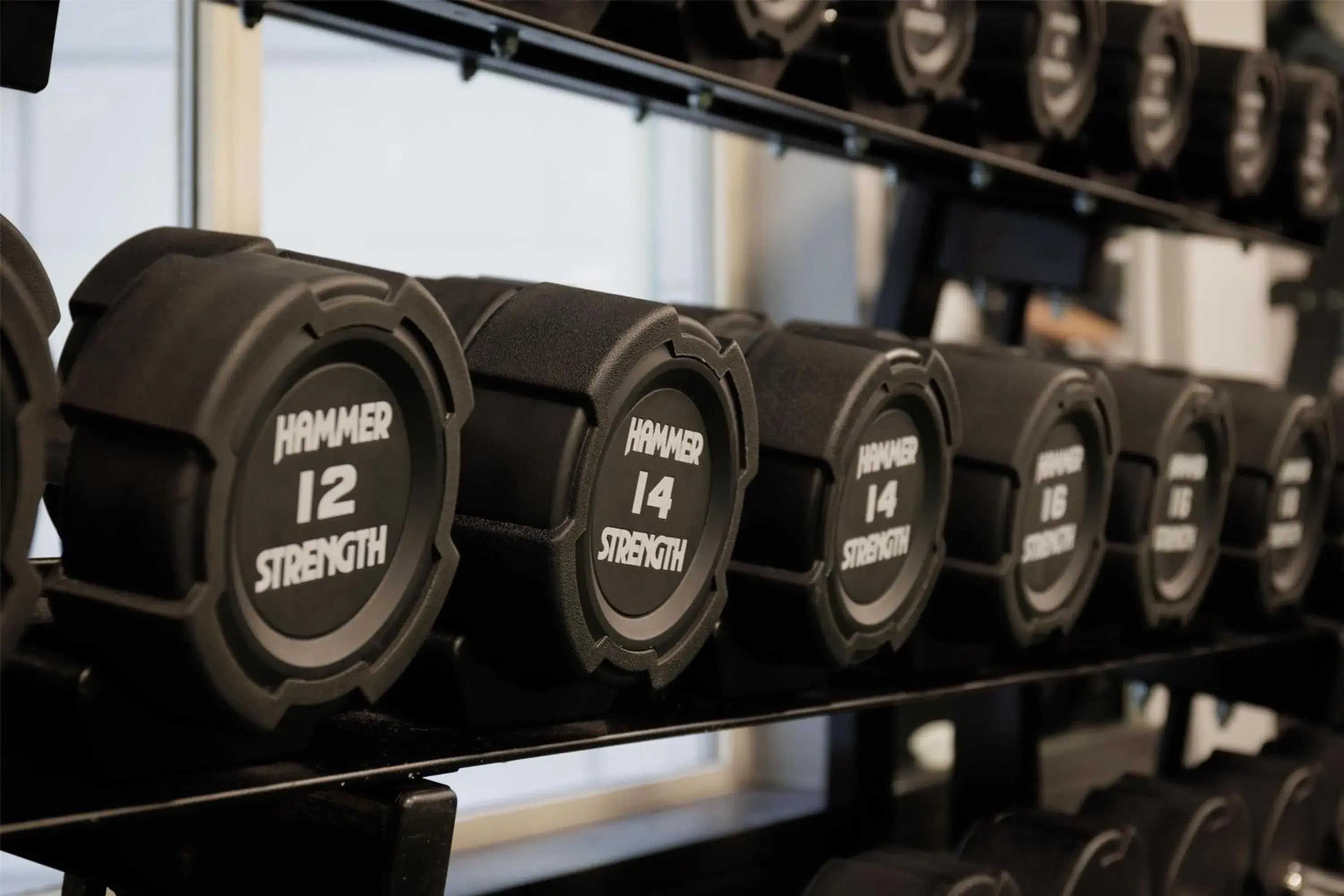 Fitness centre/facilities in Hilton Cardiff Fitness centre/facilities in Hilton Cardiff