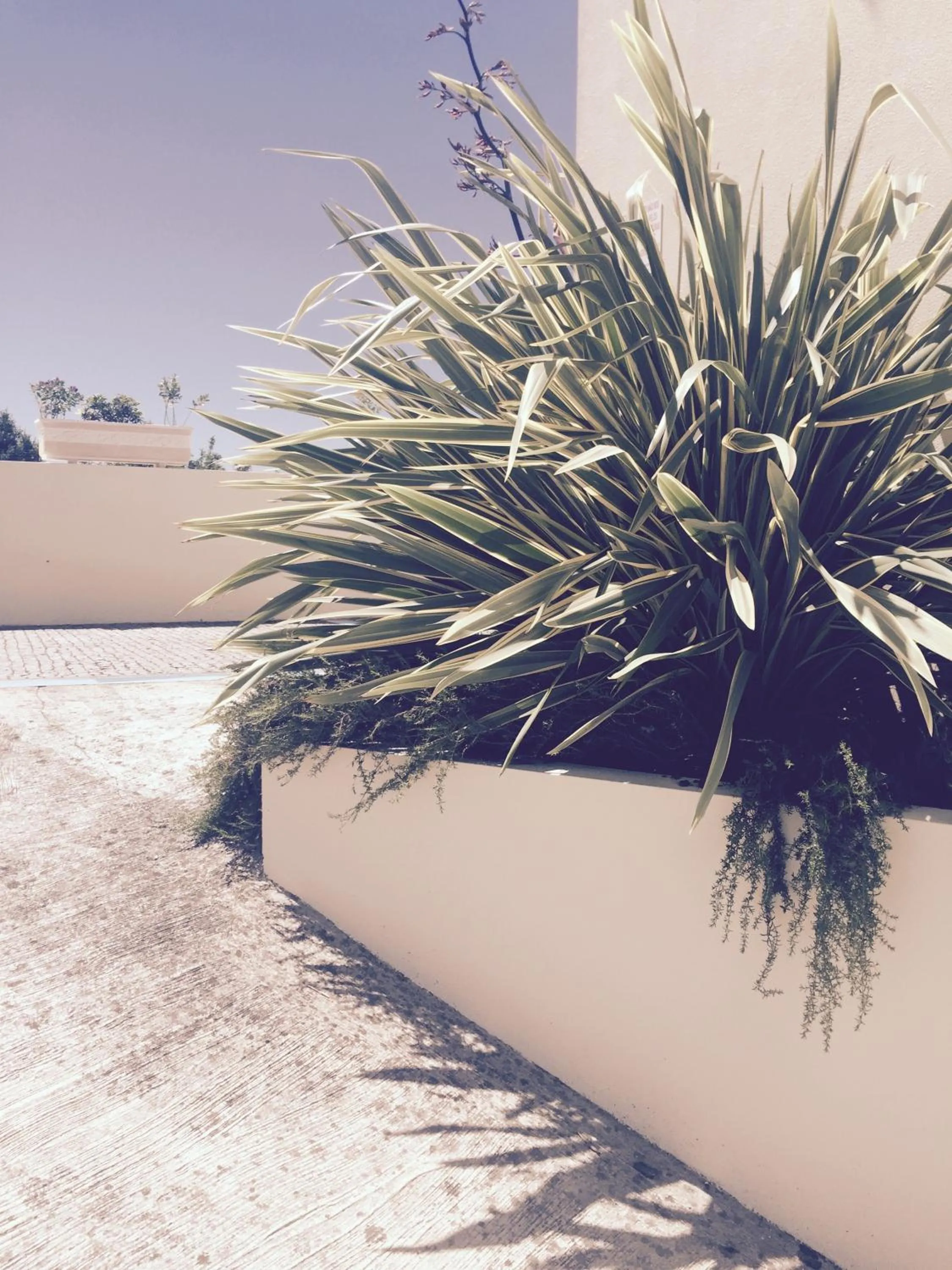 Day in Hotel Aeroporto