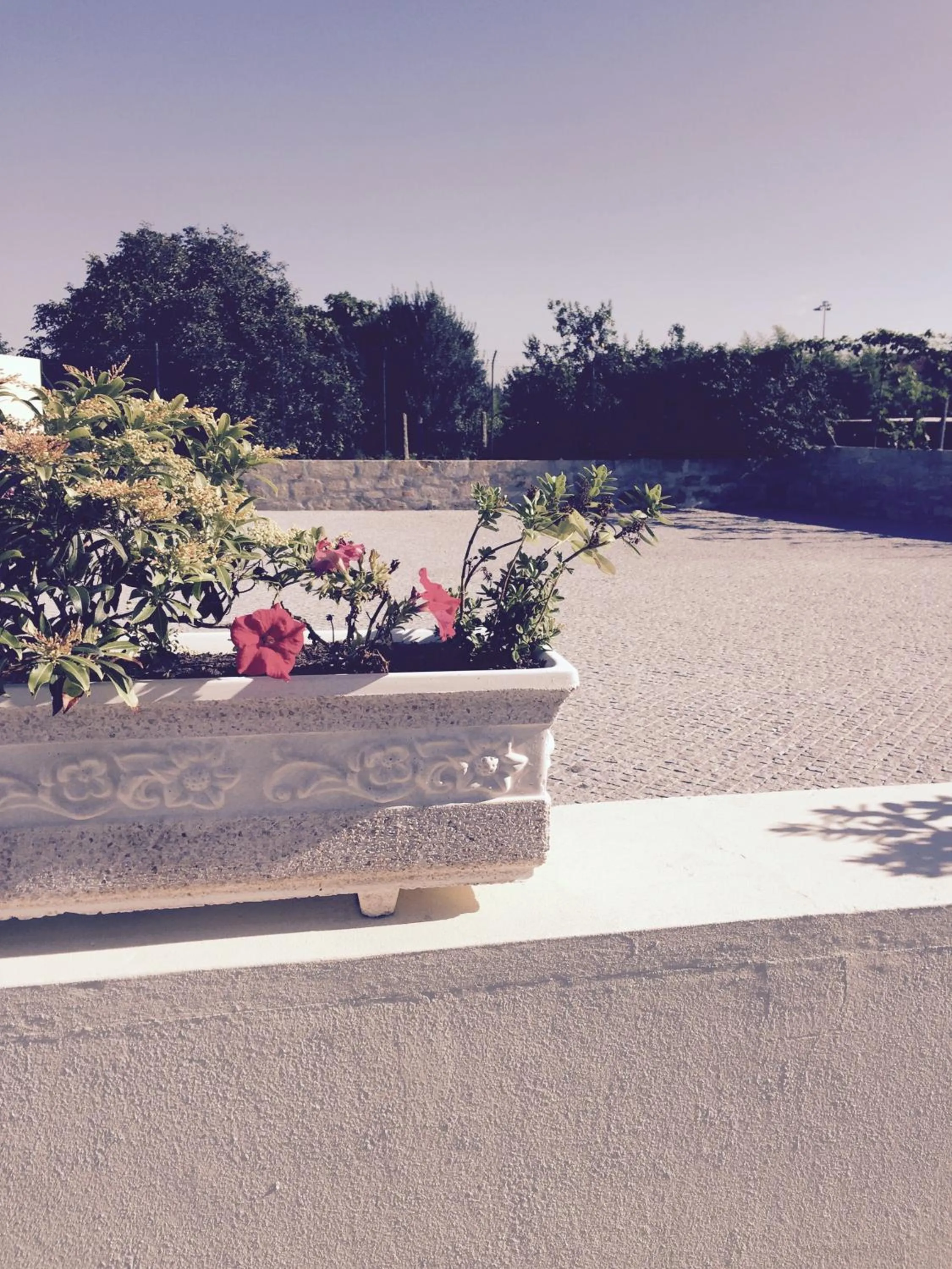 Day in Hotel Aeroporto