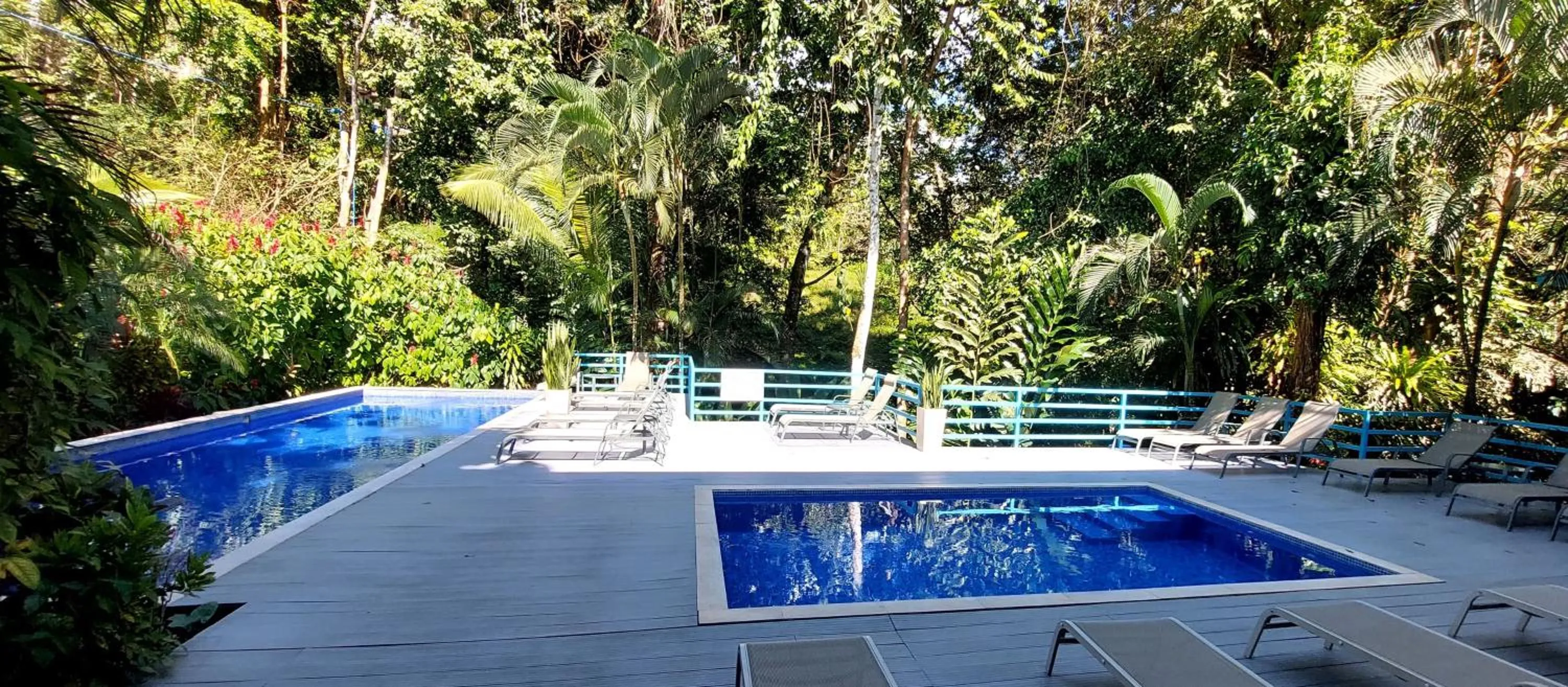 Swimming pool in Hotel Plaza Yara