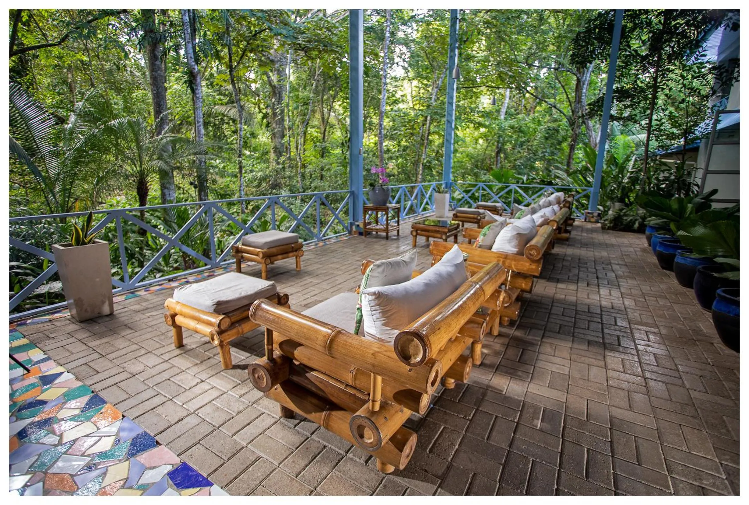 Garden in Hotel Plaza Yara