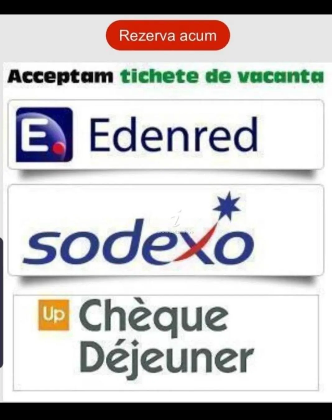 Logo/Certificate/Sign in Lotus 7 Silver