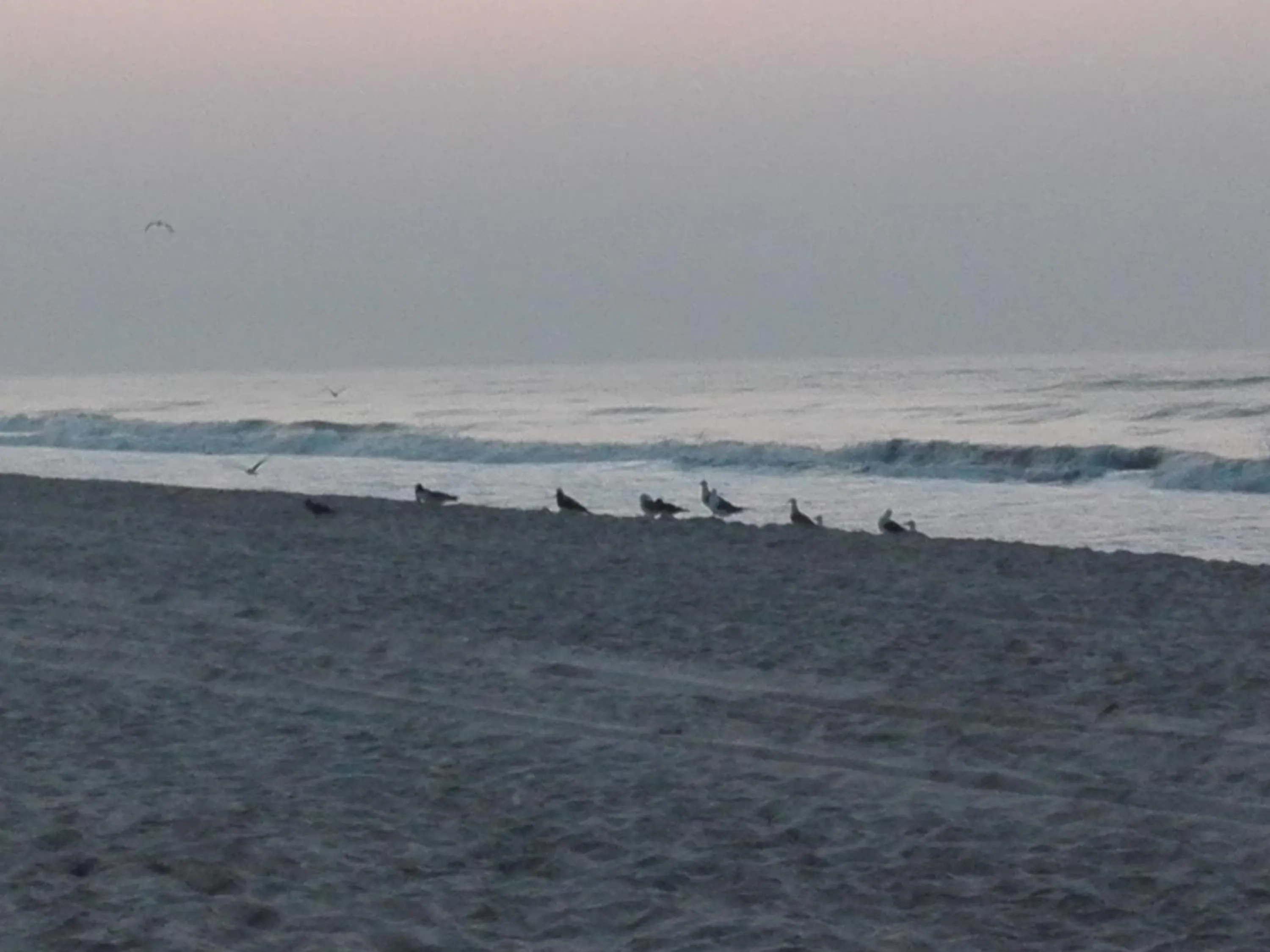Bird's eye view in Salalah Beach Villas