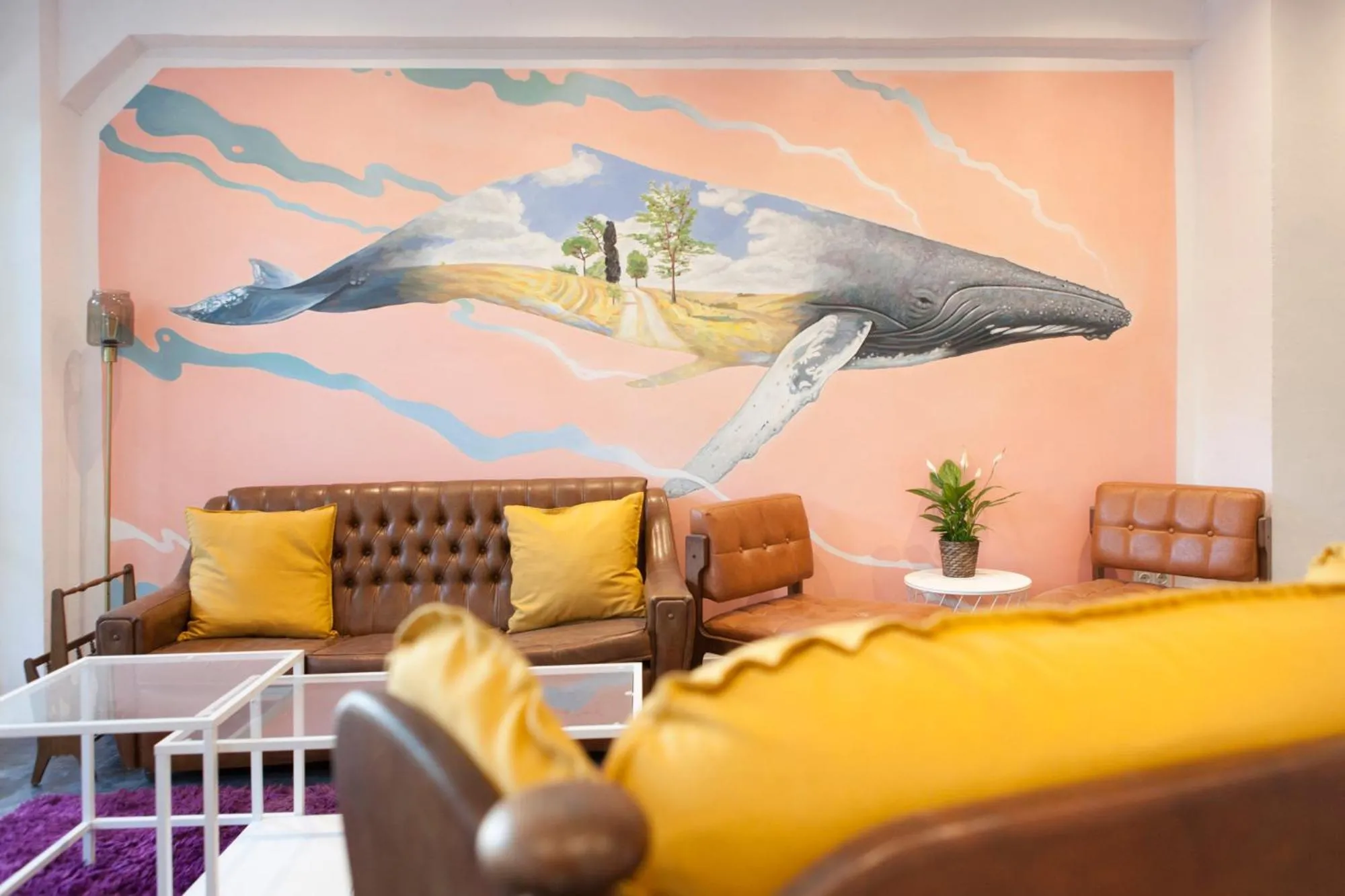 Balea Hostel