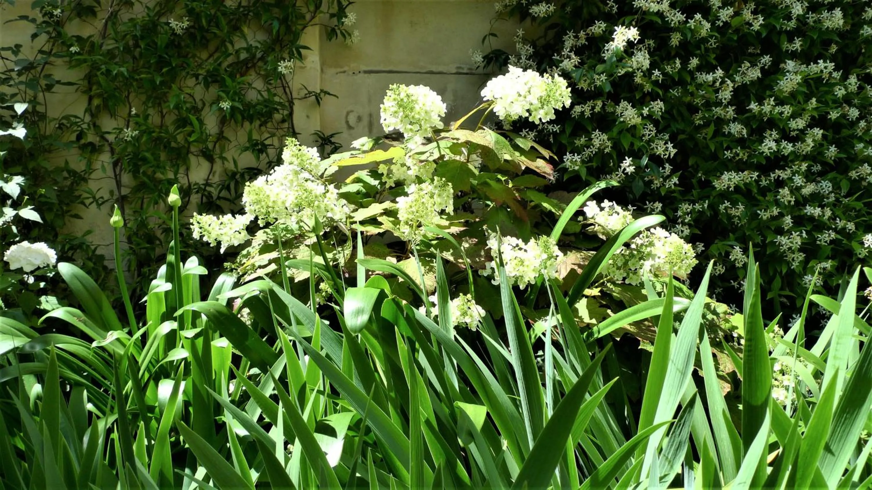 Les chambres de l'Abbaye
