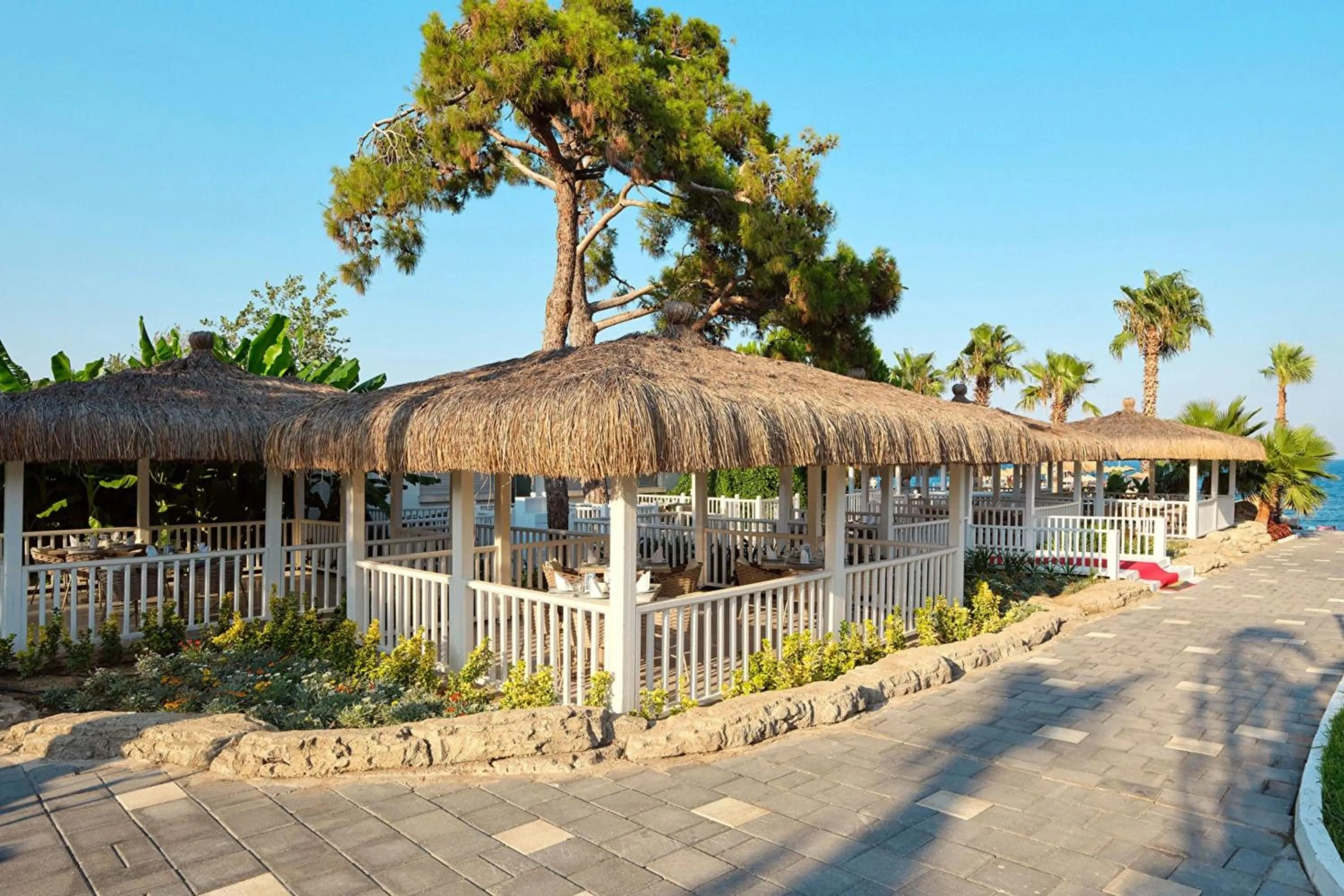 Restaurant/places to eat in FashionTV Luxe Resort - Luxury All Inclusive