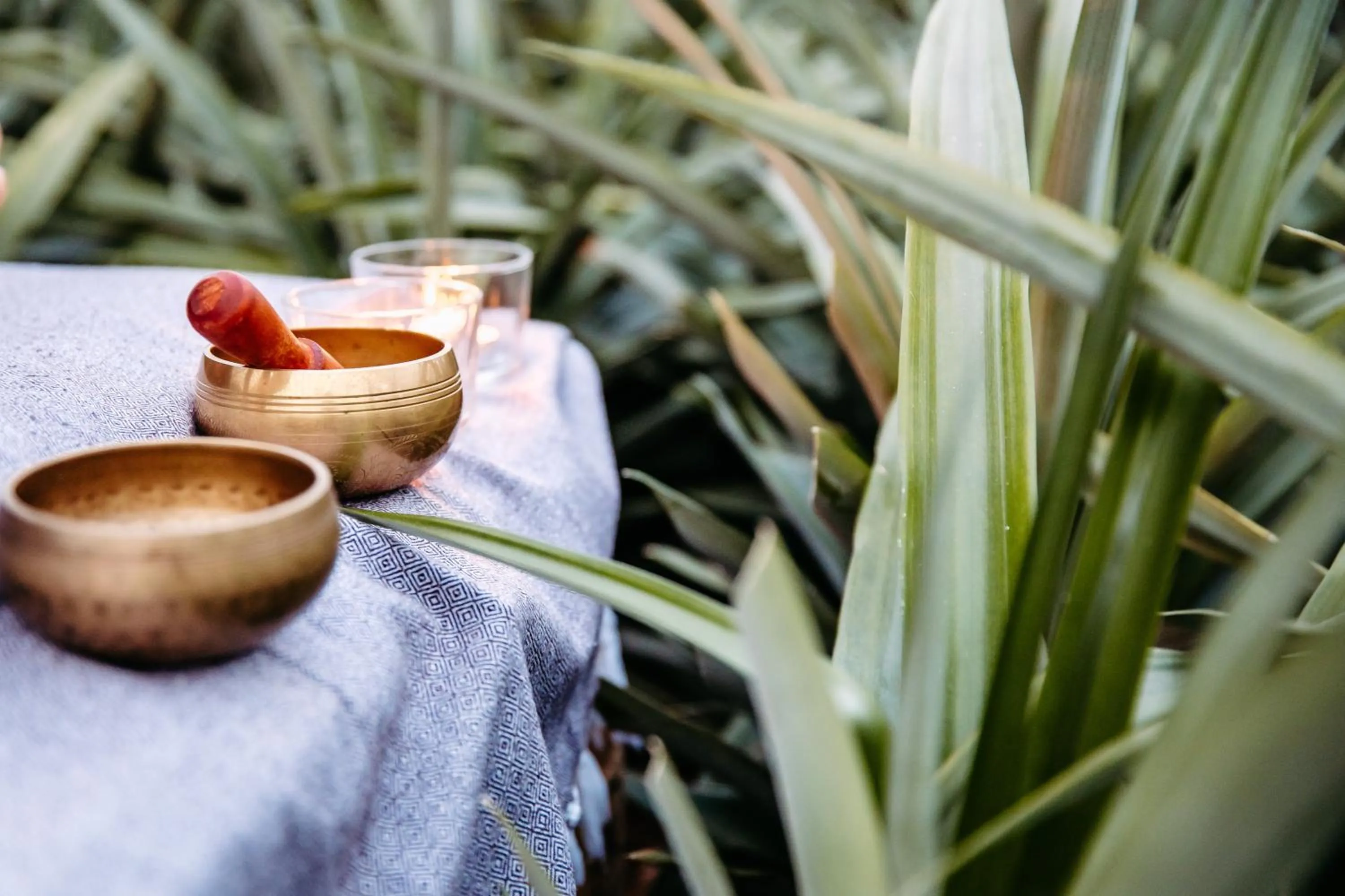 Natural landscape in Herdade do Ananás