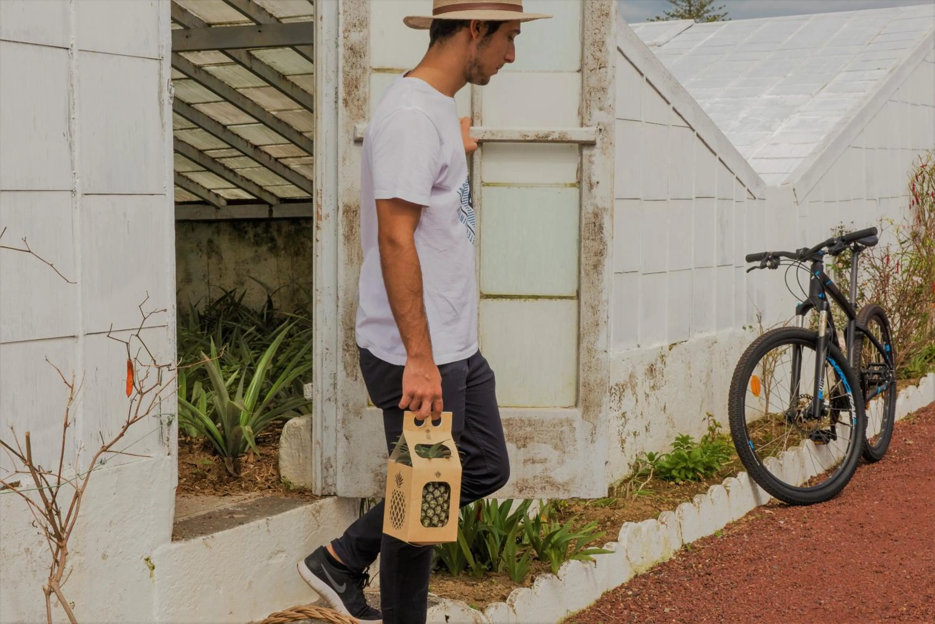 Activities in Herdade do Ananás