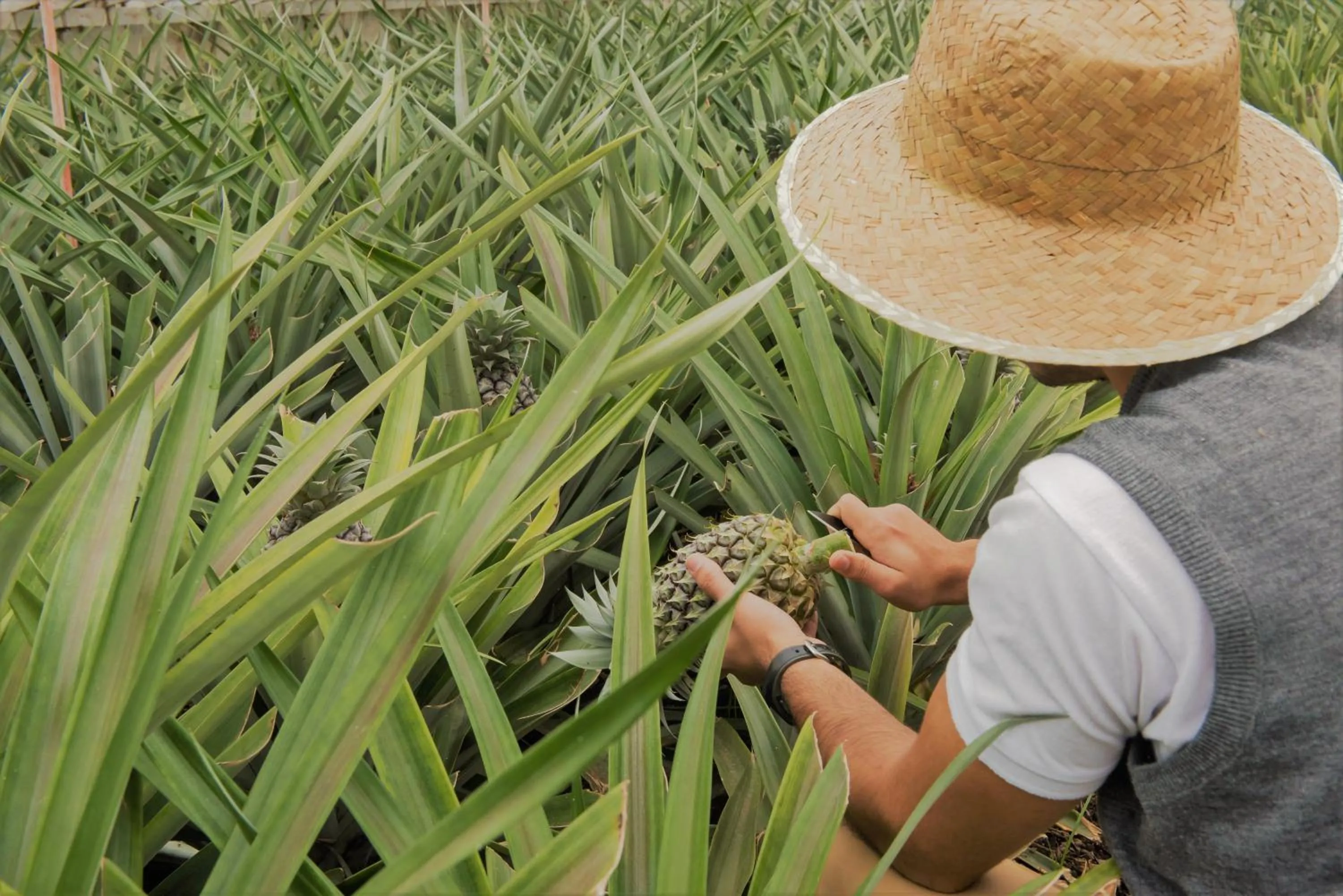 People in Herdade do Ananás