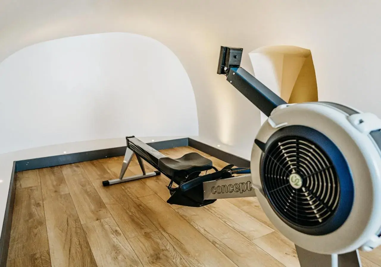 Fitness centre/facilities in The Prince Akatoki London Fitness centre/facilities in The Prince Akatoki London