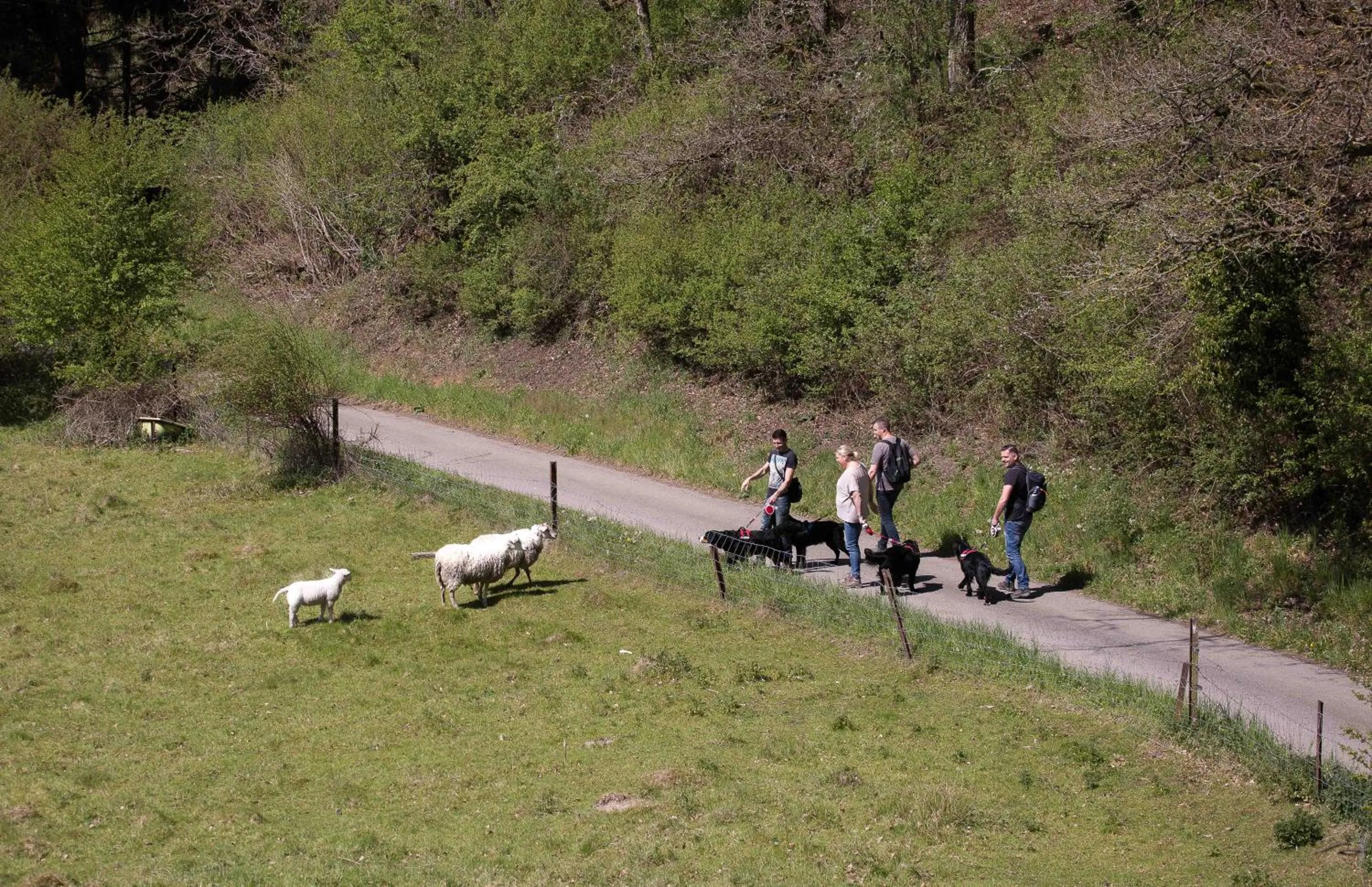 Neighbourhood in B&B Ferme de Leuze Rustieke Gîtes nabij Durbuy, eigen laadpalen